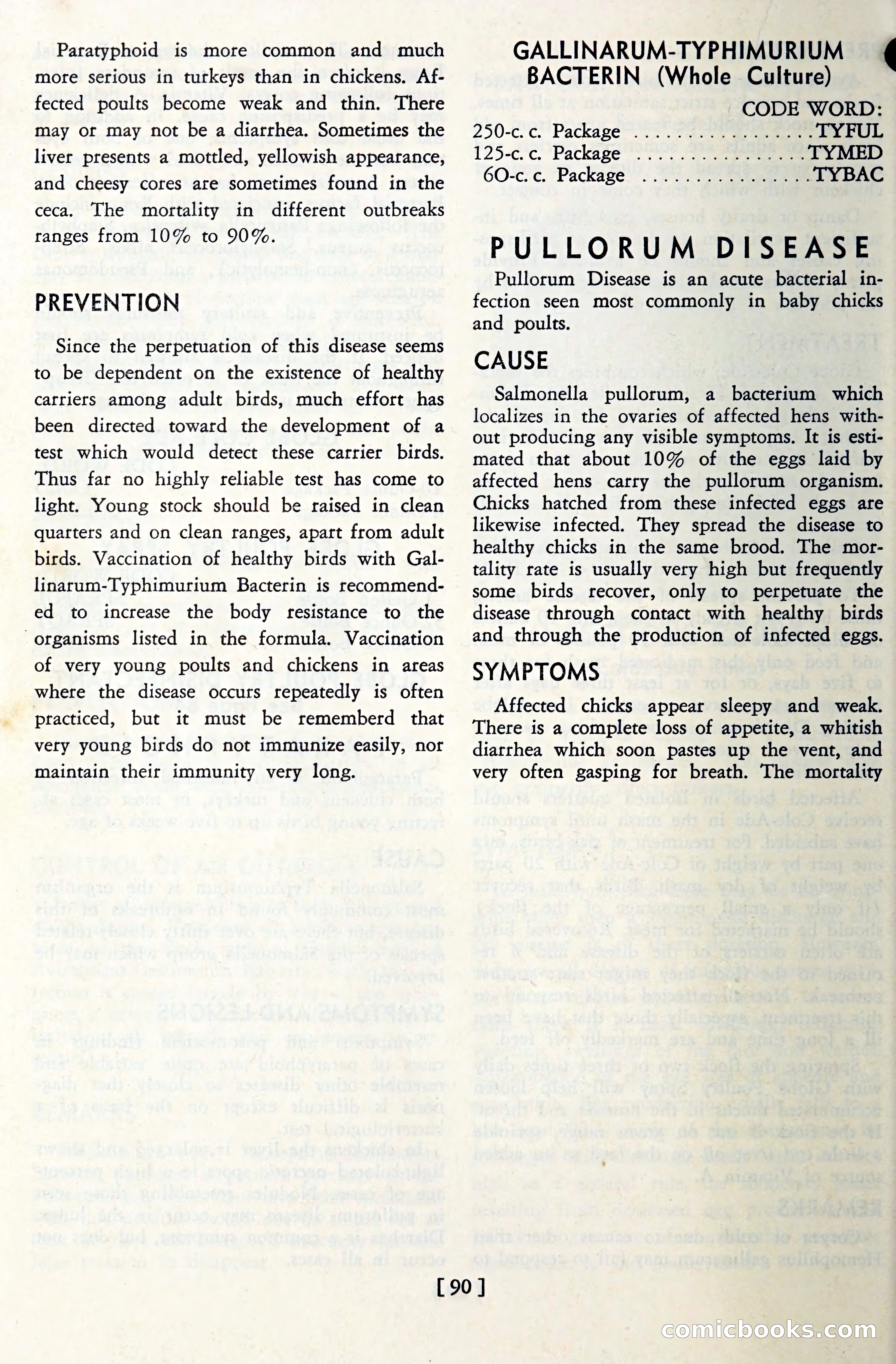 The Globe Blue Book — page 93 of 113