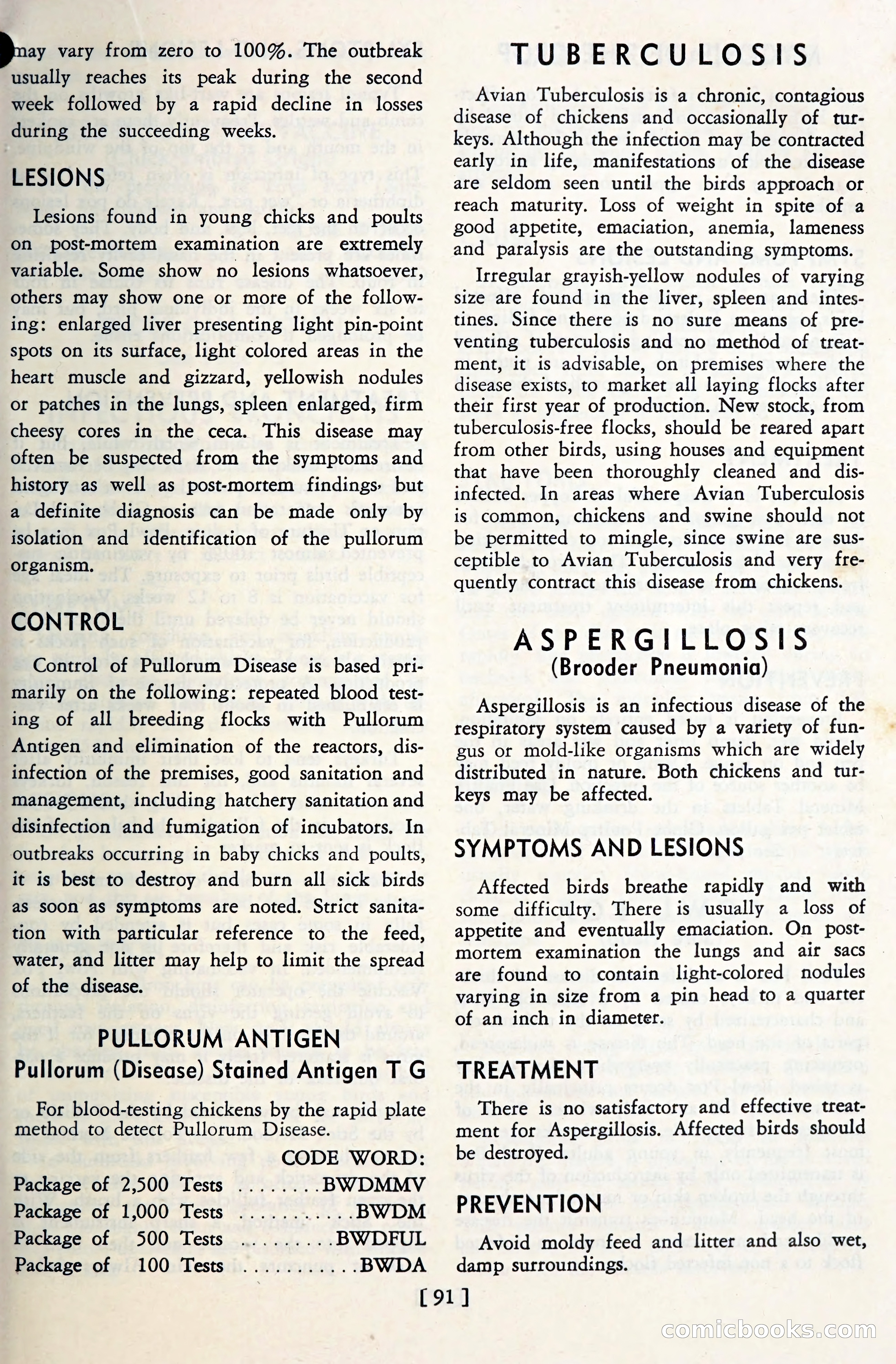 The Globe Blue Book — page 94 of 113