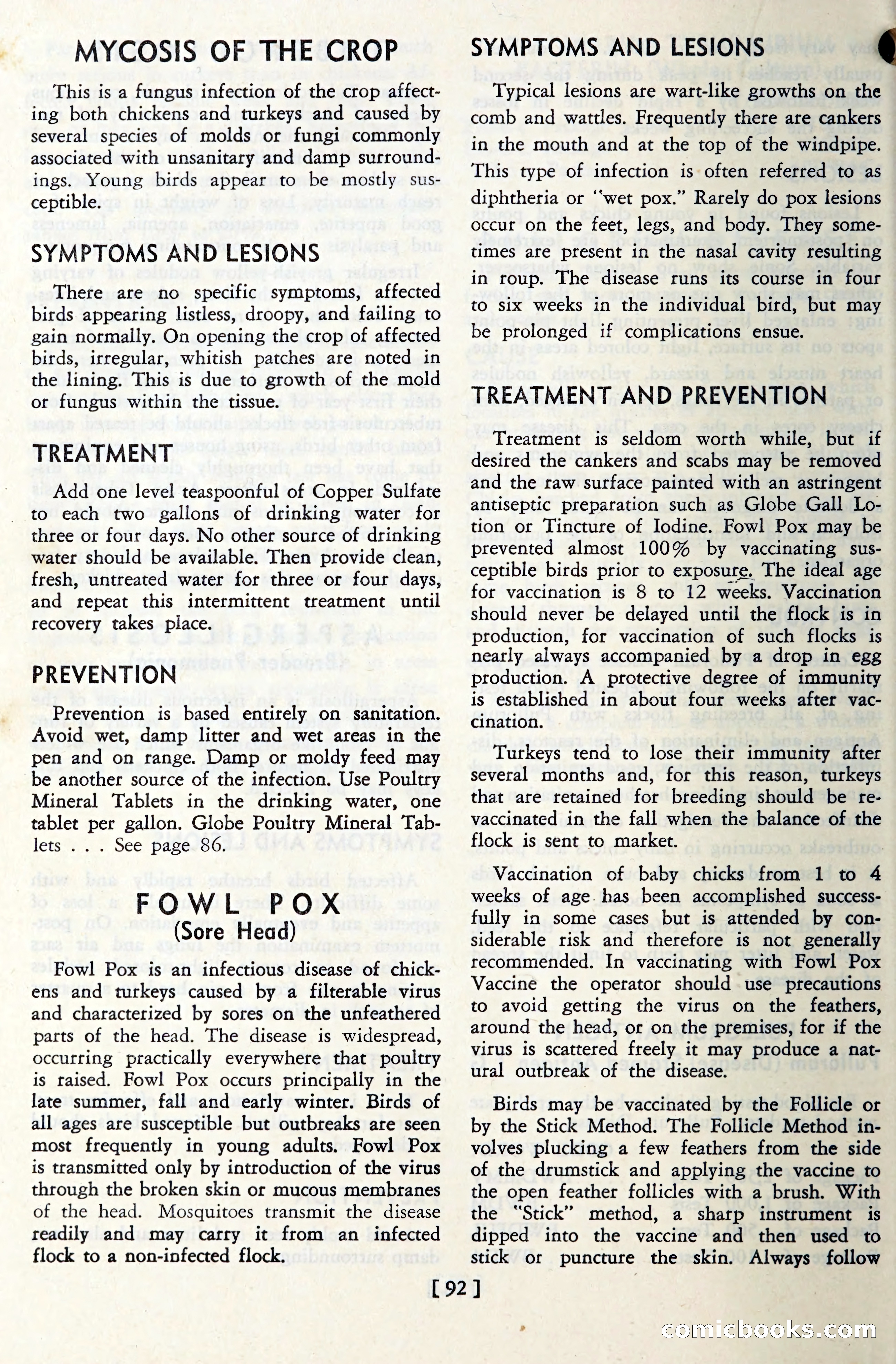 The Globe Blue Book — page 95 of 113