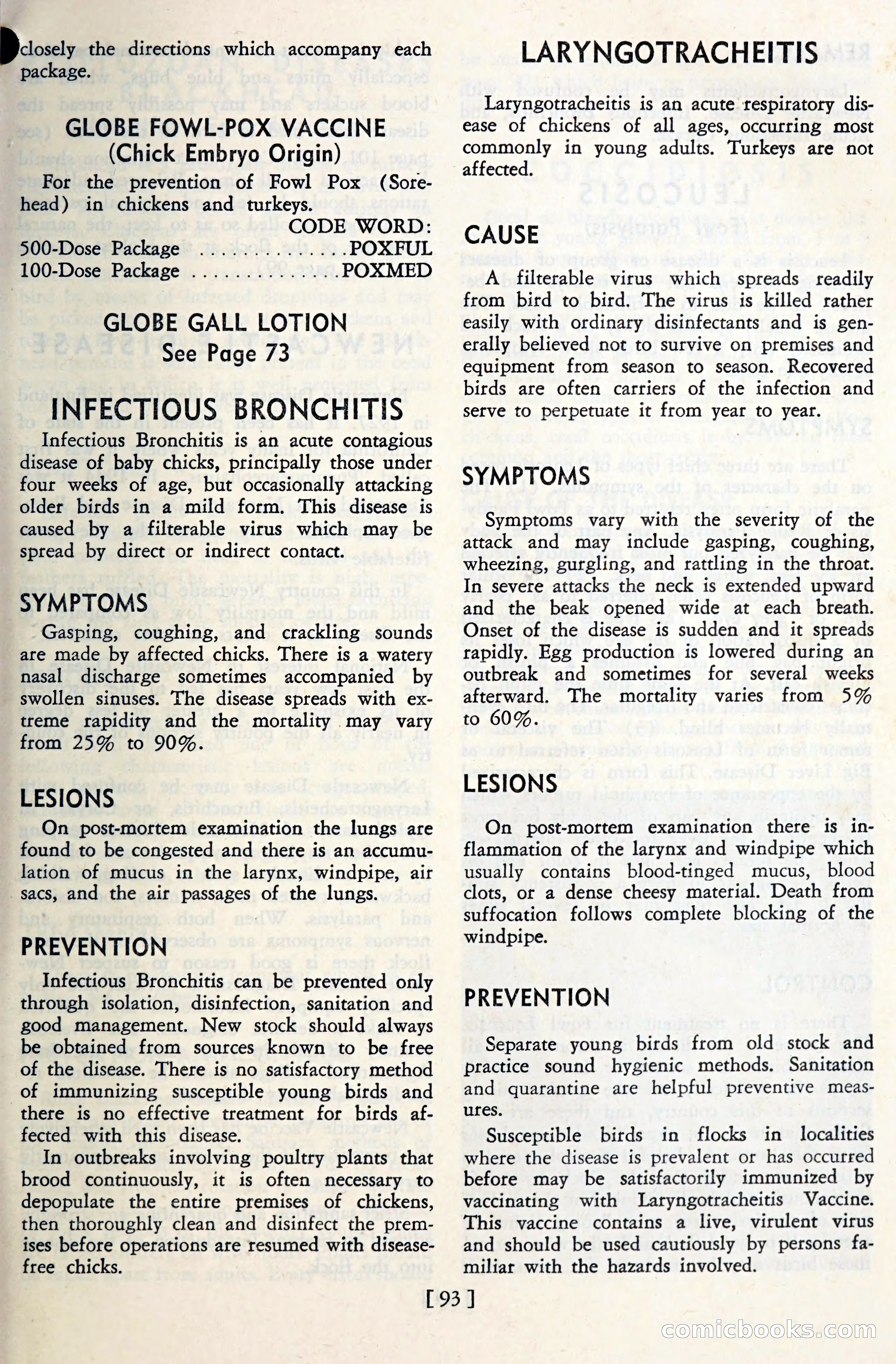 The Globe Blue Book — page 96 of 113