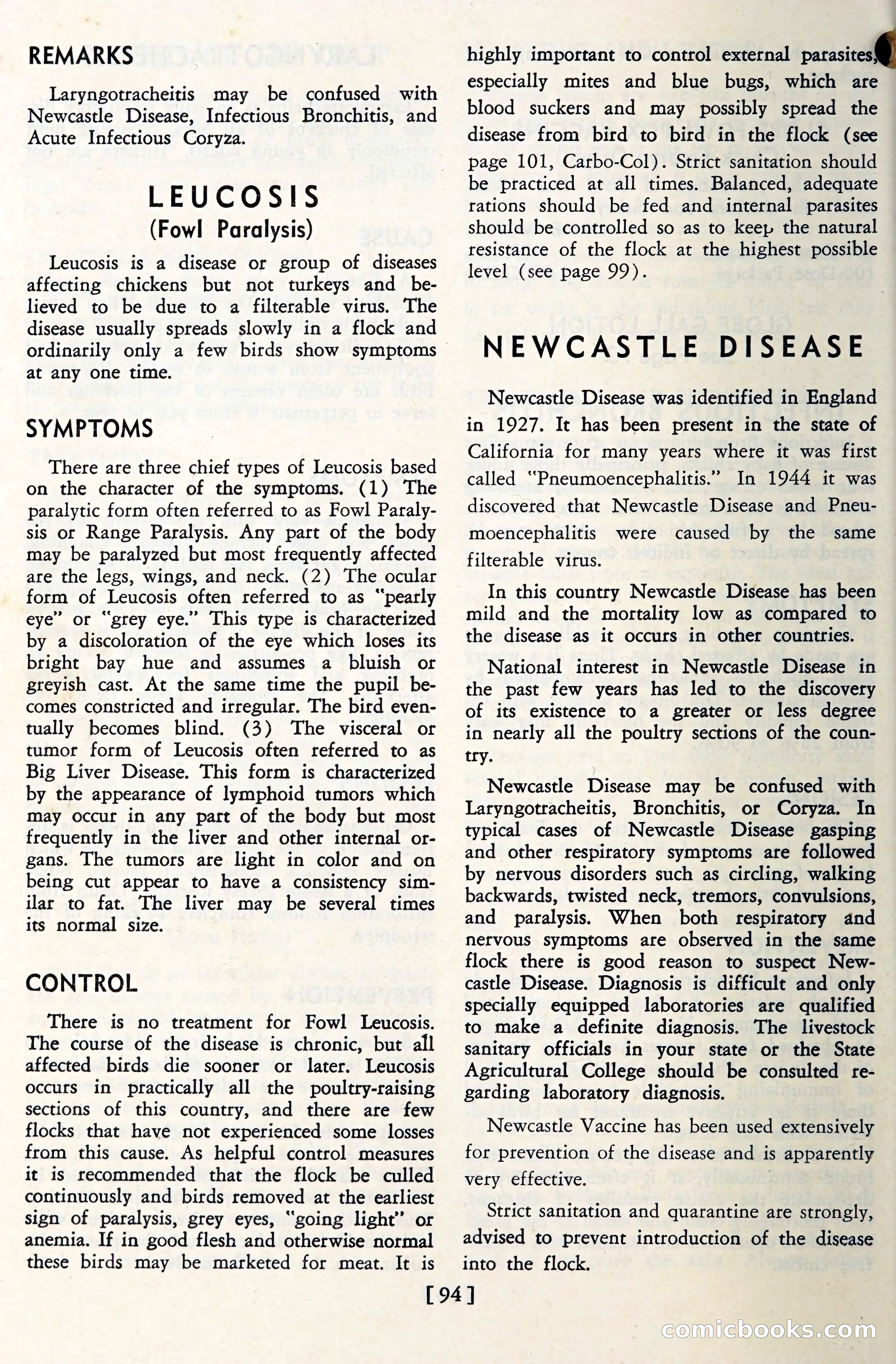 The Globe Blue Book — page 97 of 113