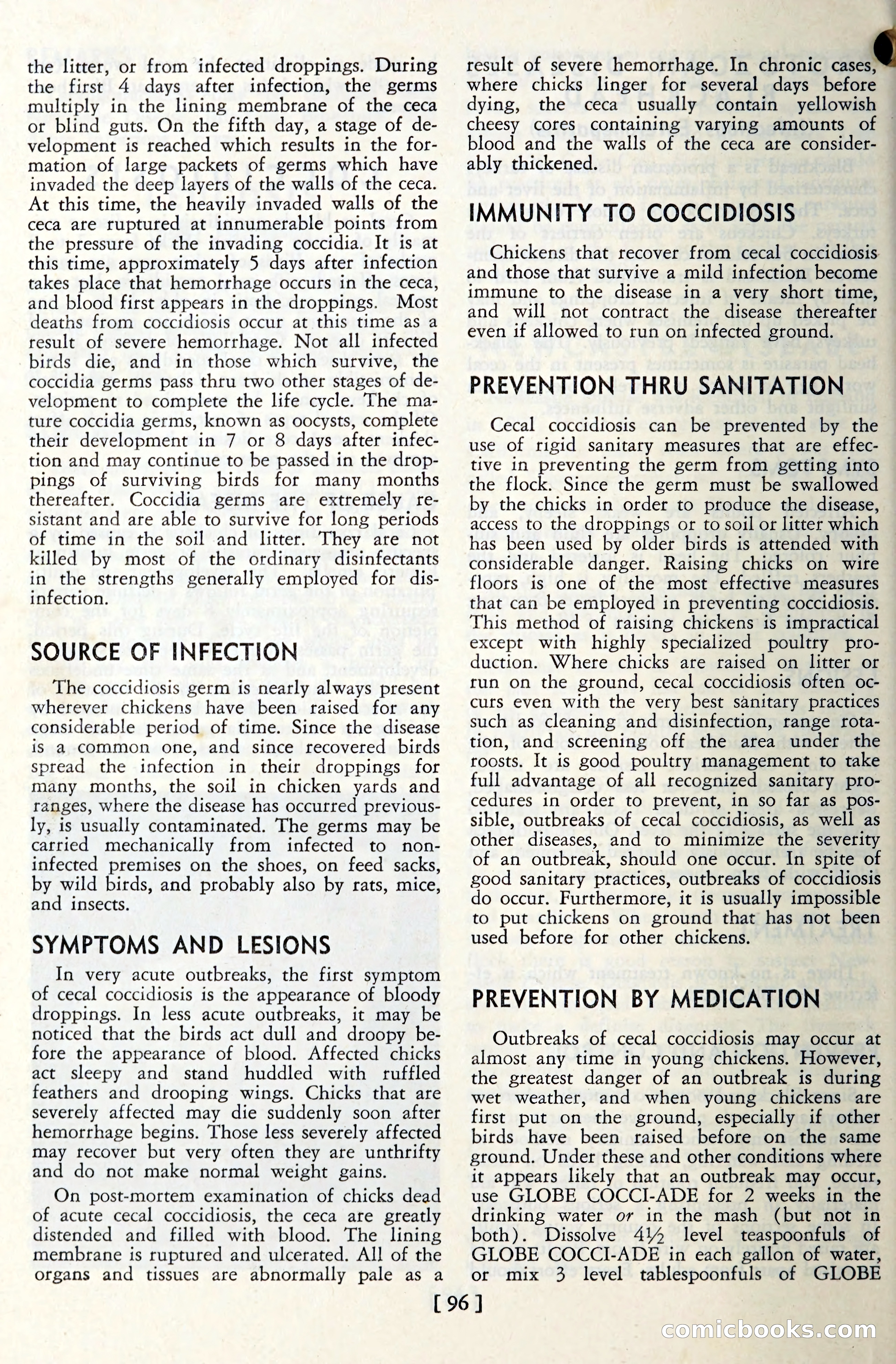 The Globe Blue Book — page 99 of 113