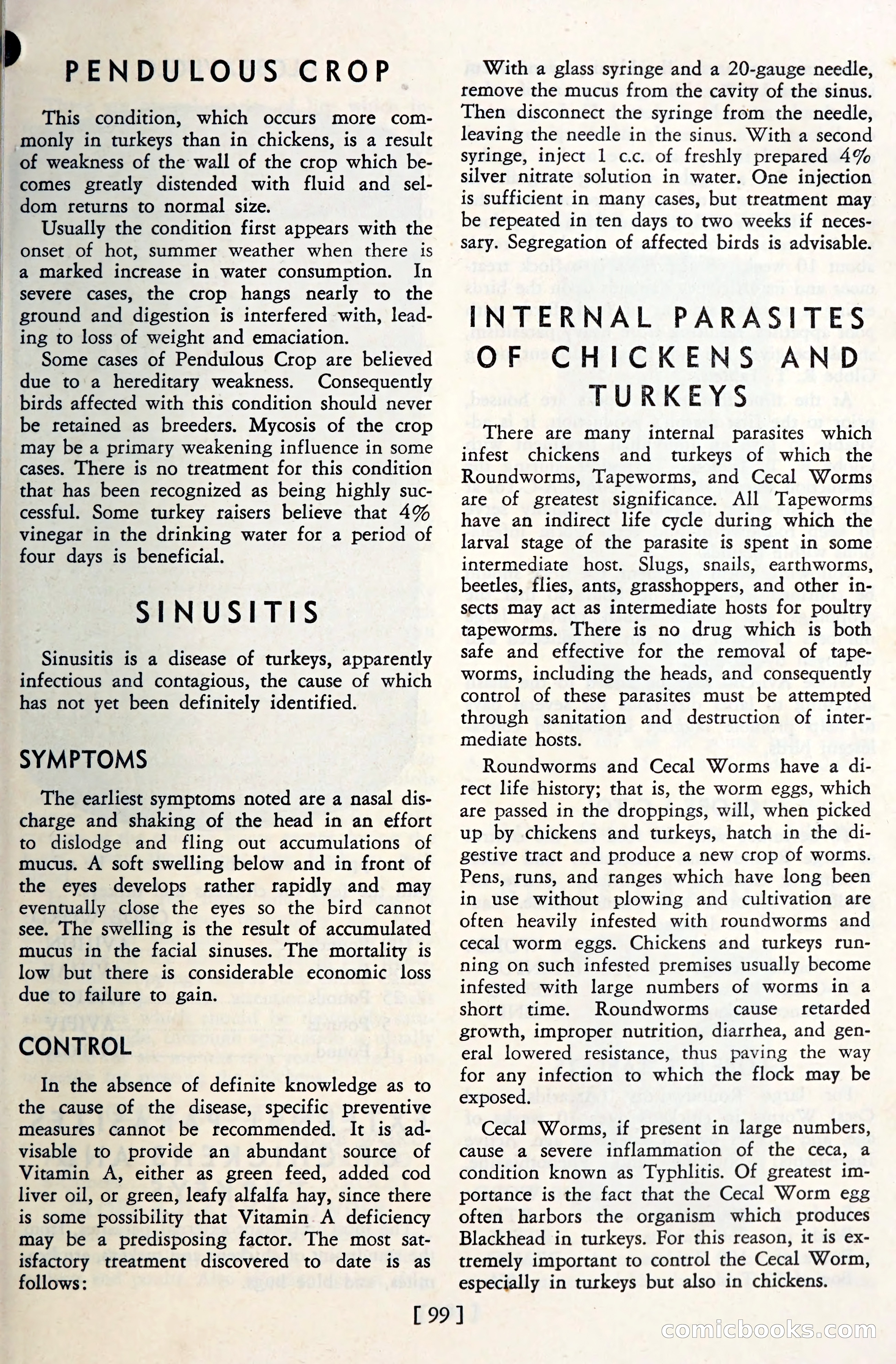 The Globe Blue Book — page 102 of 113