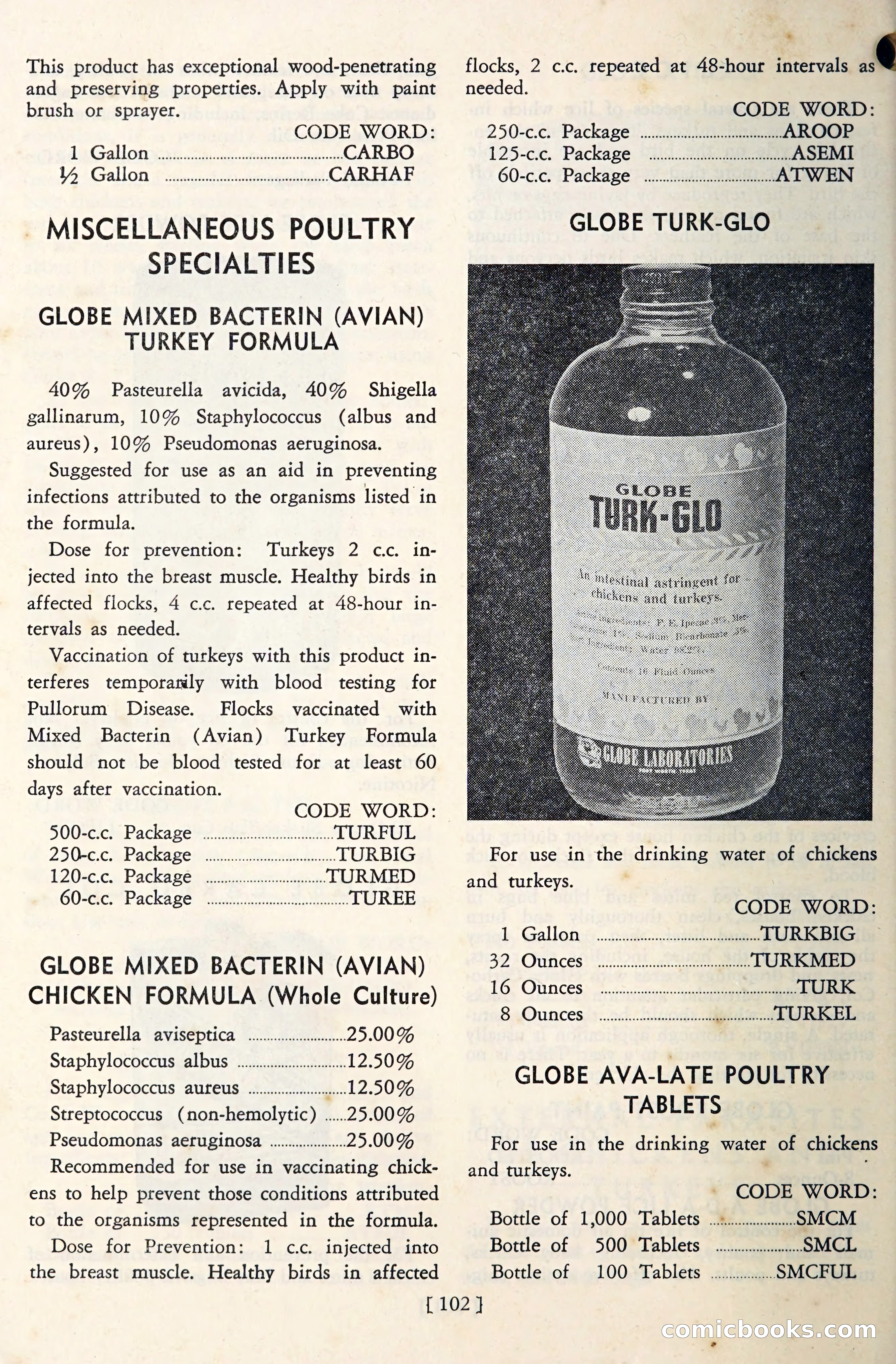 The Globe Blue Book — page 105 of 113