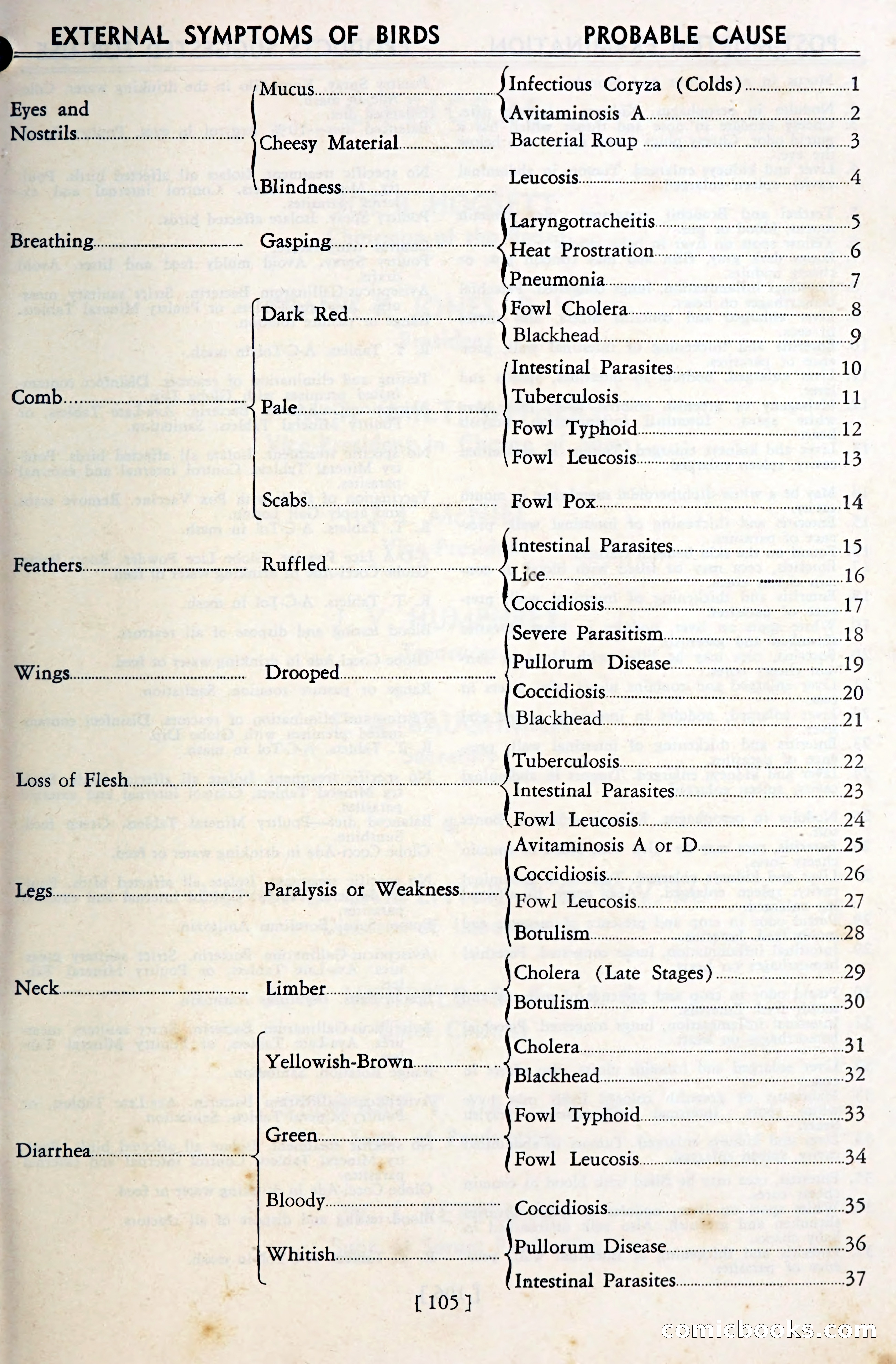 The Globe Blue Book — page 108 of 113