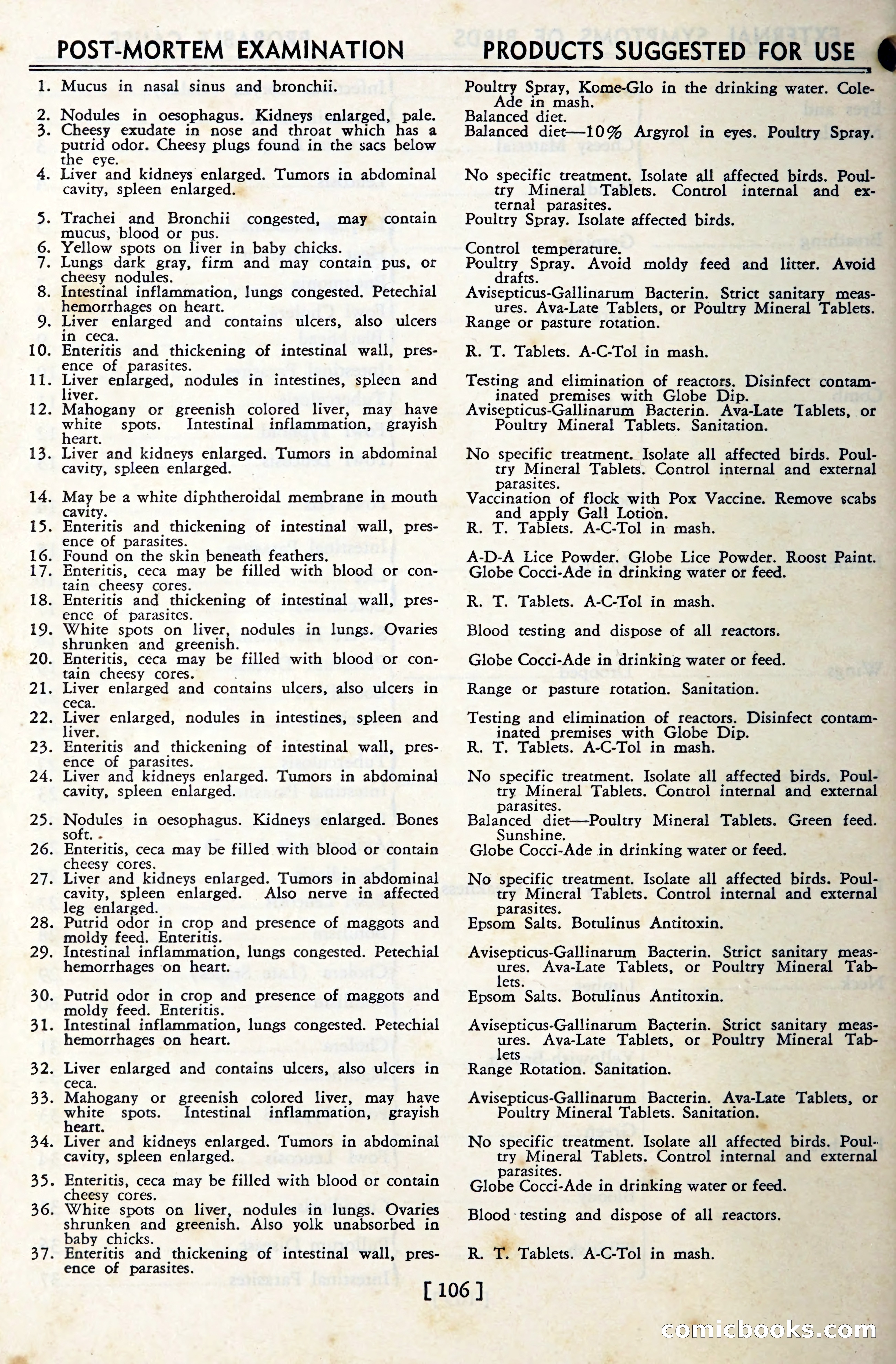 The Globe Blue Book — page 109 of 113