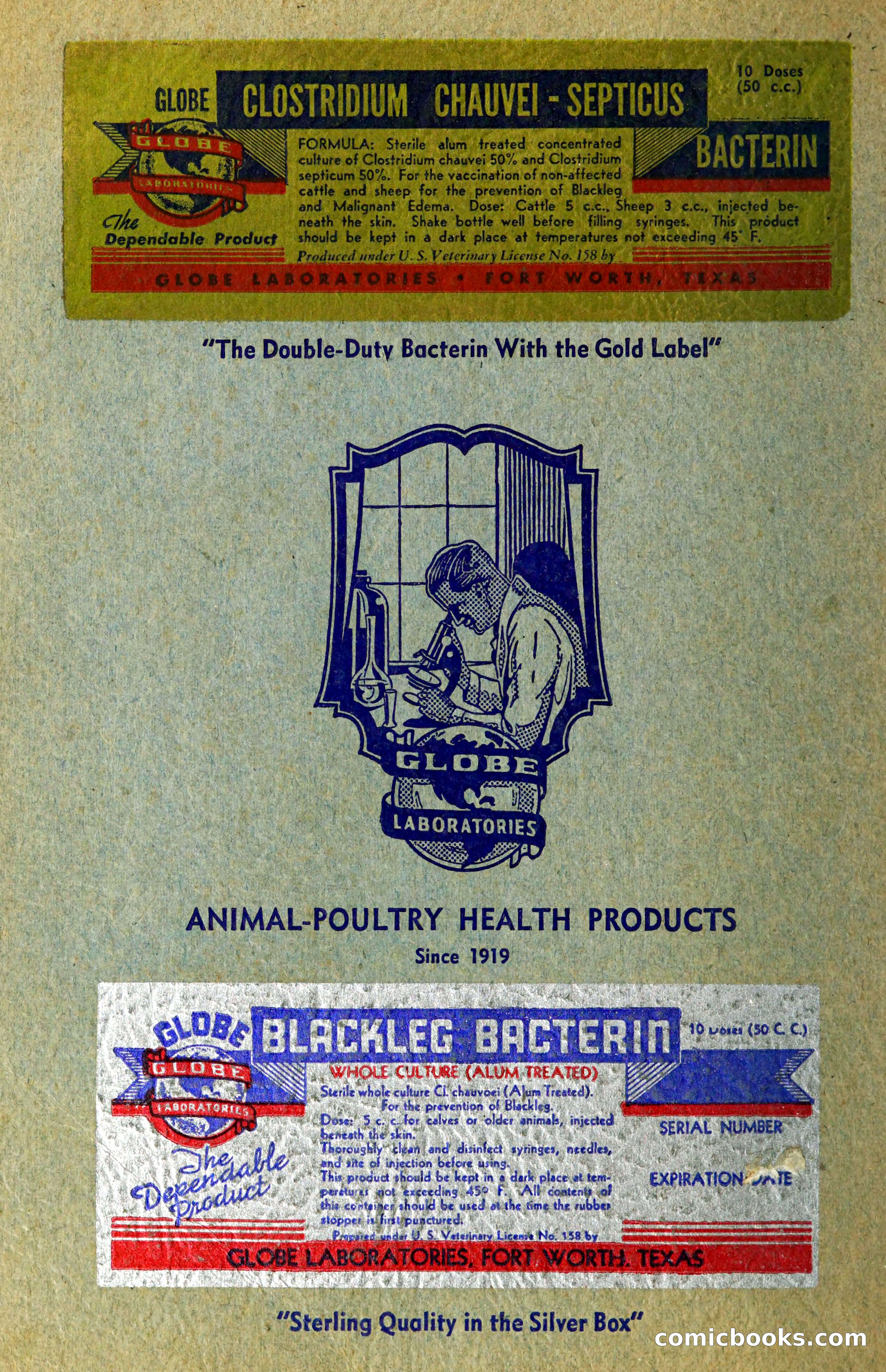 The Globe Blue Book — page 113 of 113