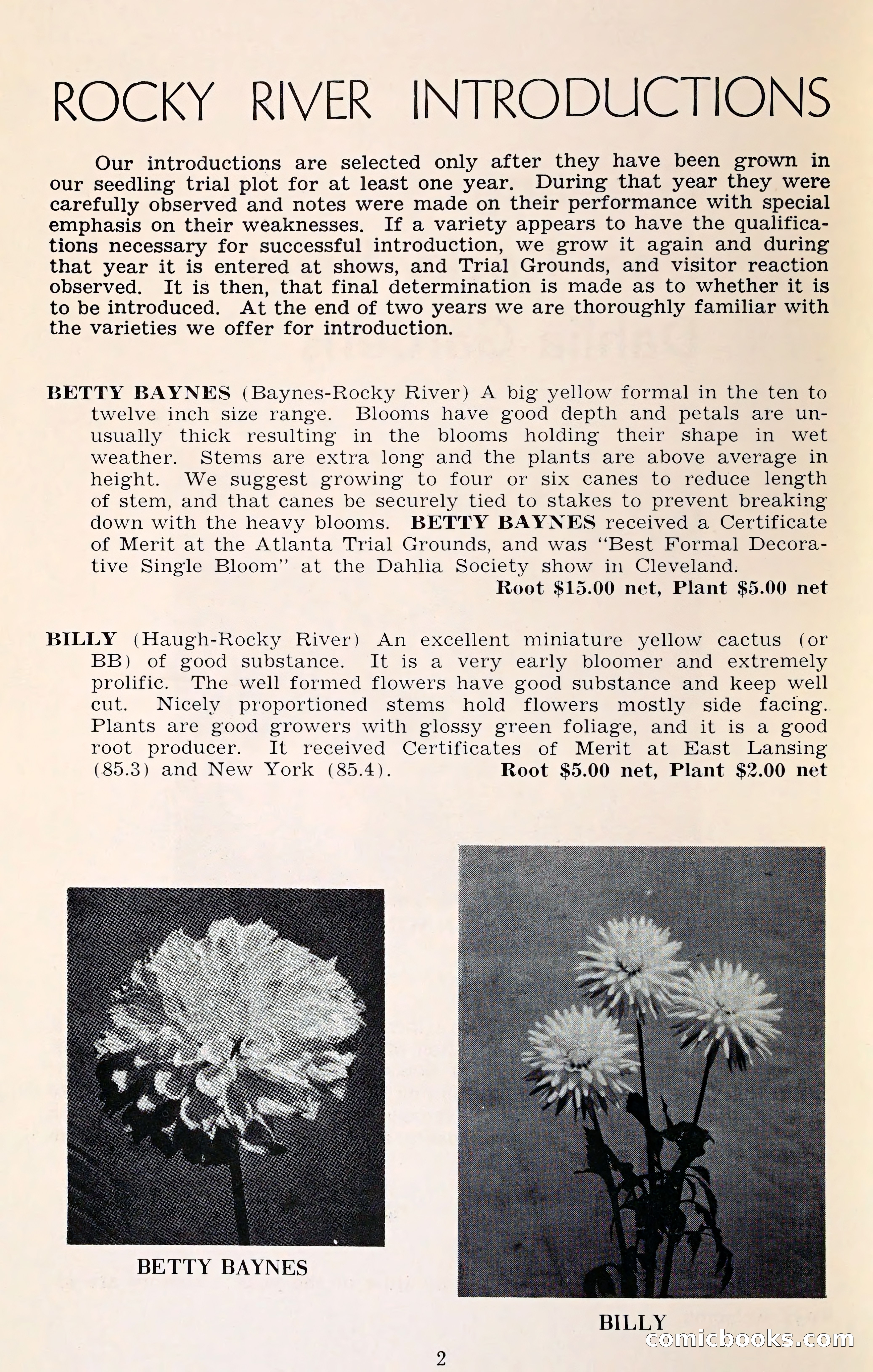 The Dahlia Blue Book for 1961 — page 5 of 71