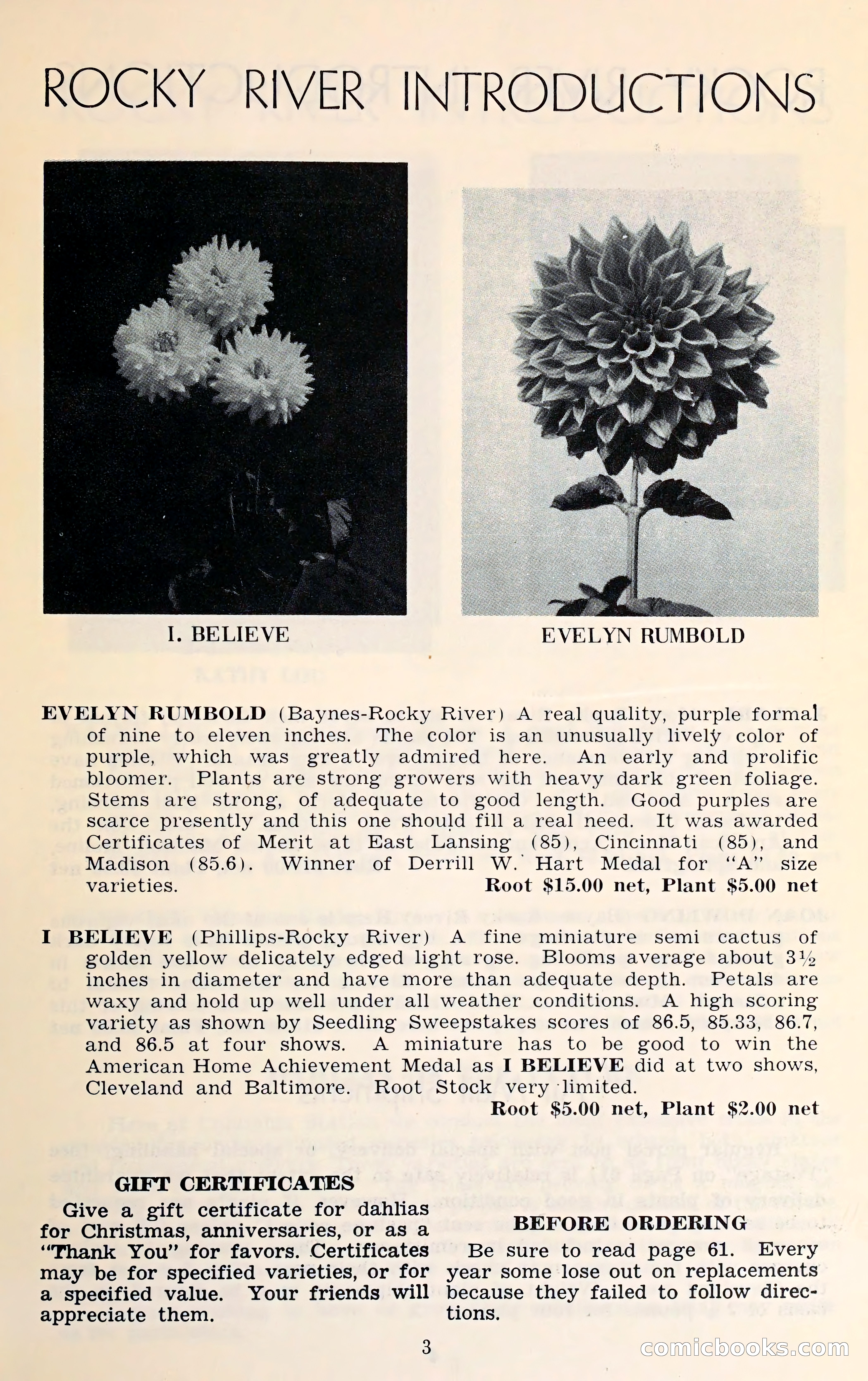 The Dahlia Blue Book for 1961 — page 6 of 71