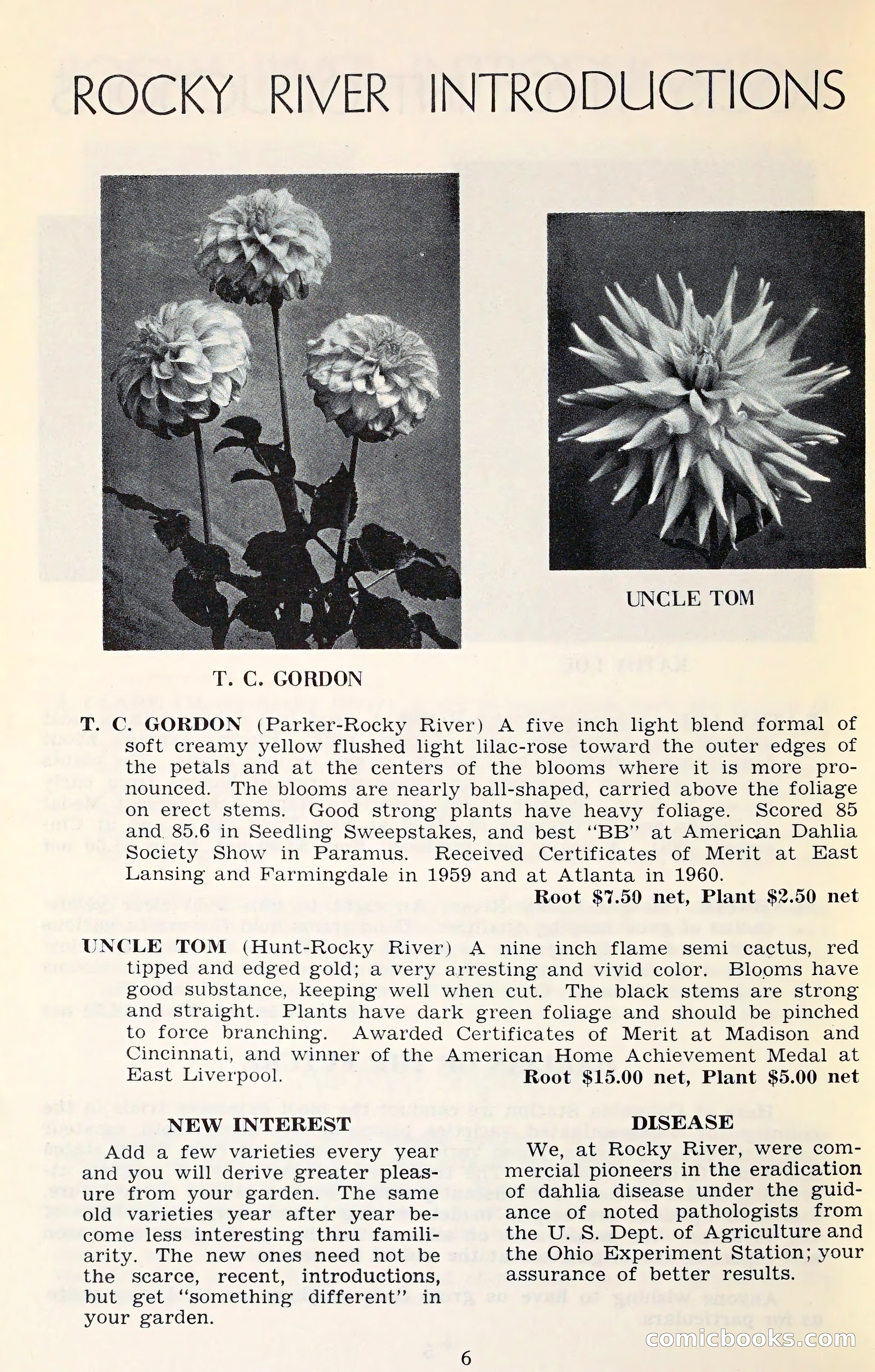 The Dahlia Blue Book for 1961 — page 9 of 71