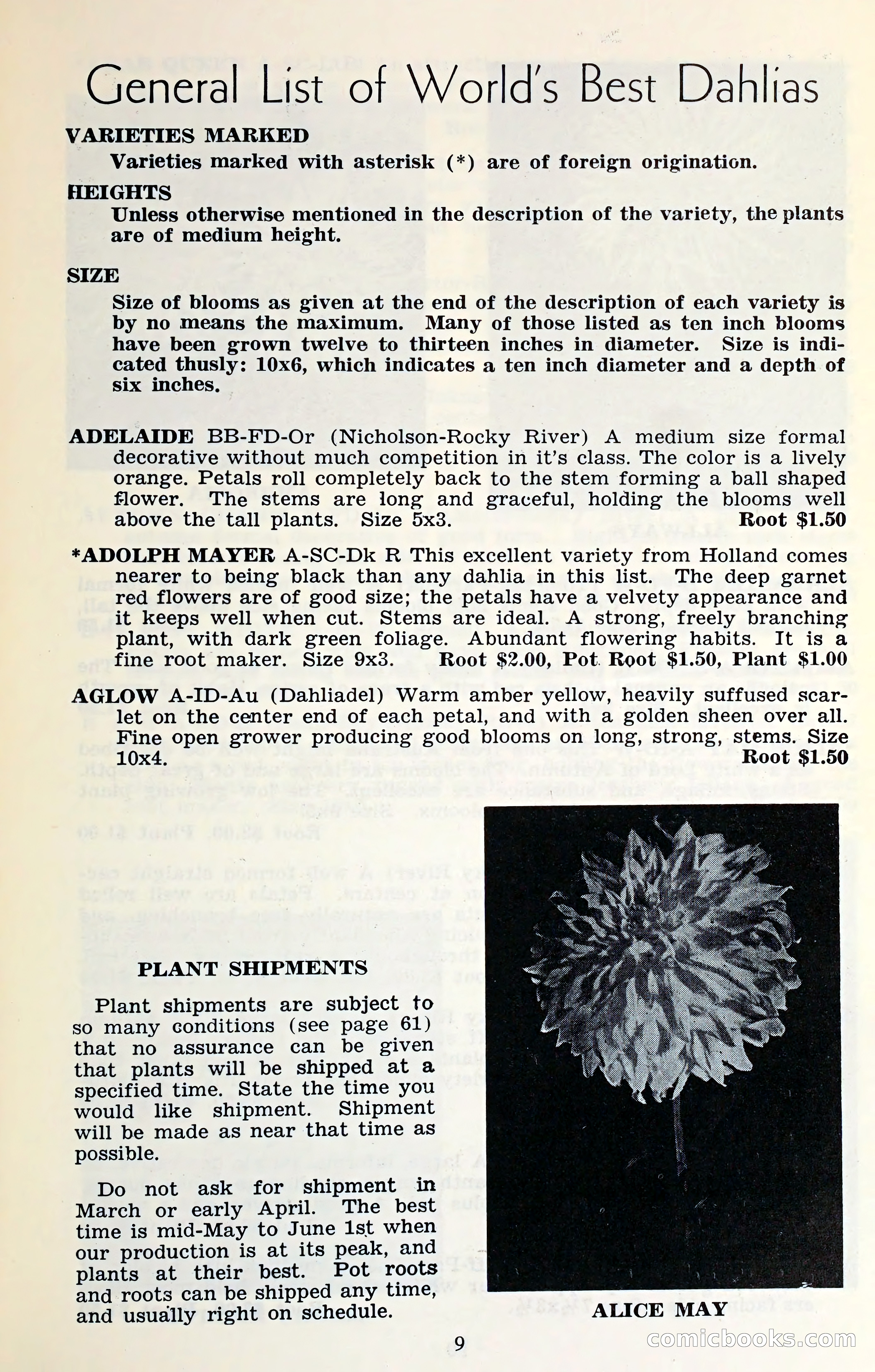 The Dahlia Blue Book for 1961 — page 12 of 71