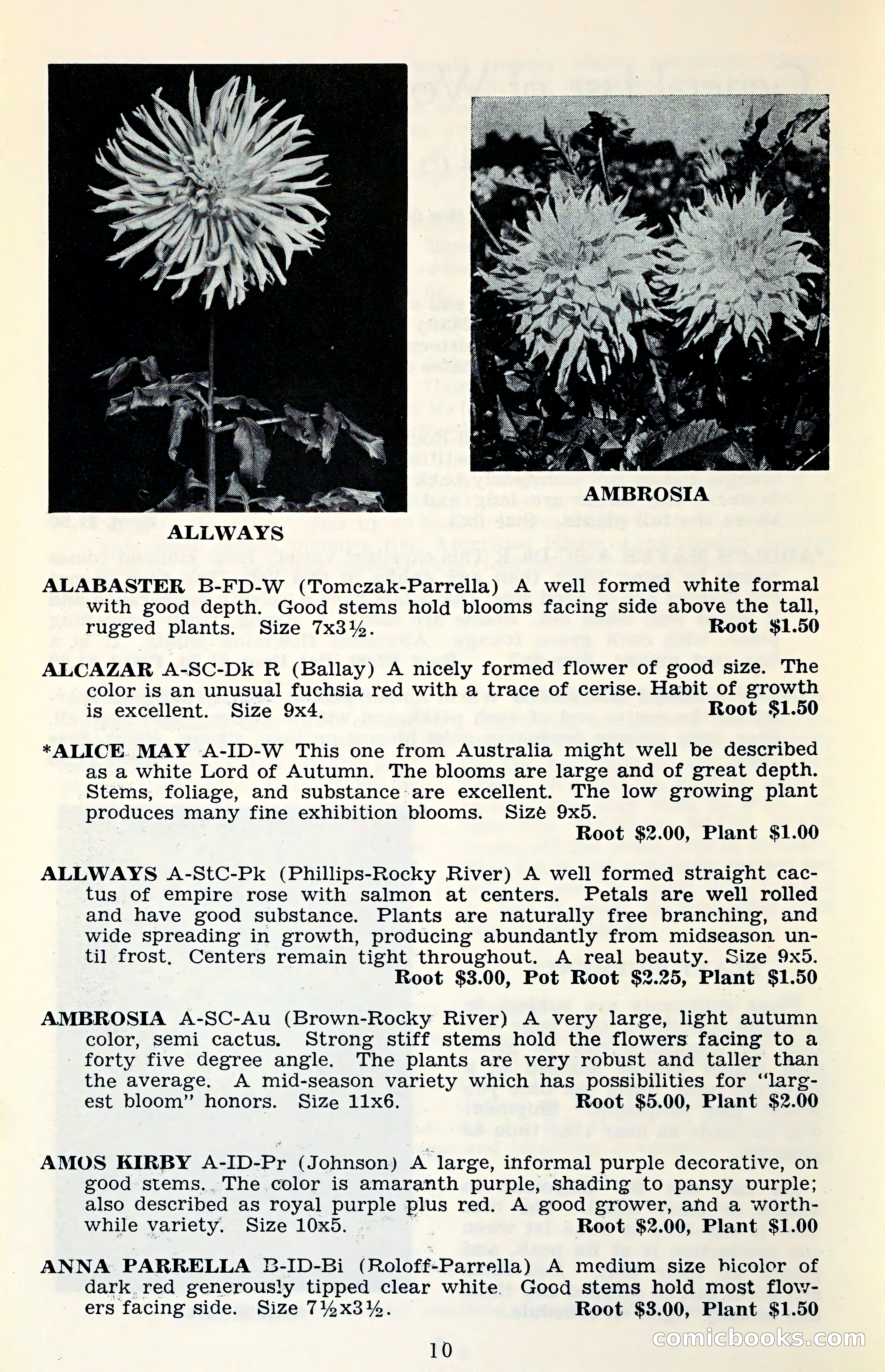 The Dahlia Blue Book for 1961 — page 13 of 71