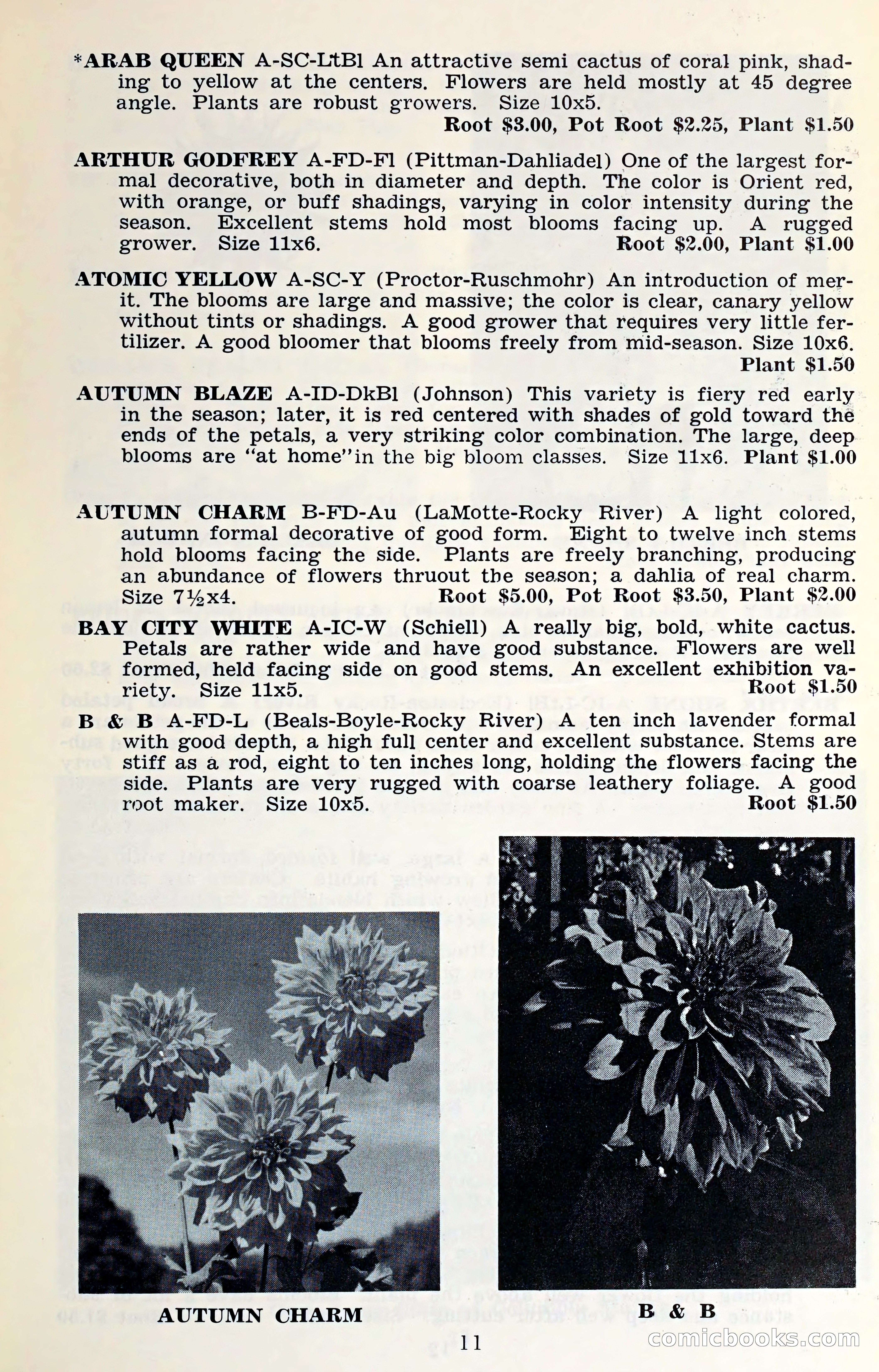The Dahlia Blue Book for 1961 — page 14 of 71
