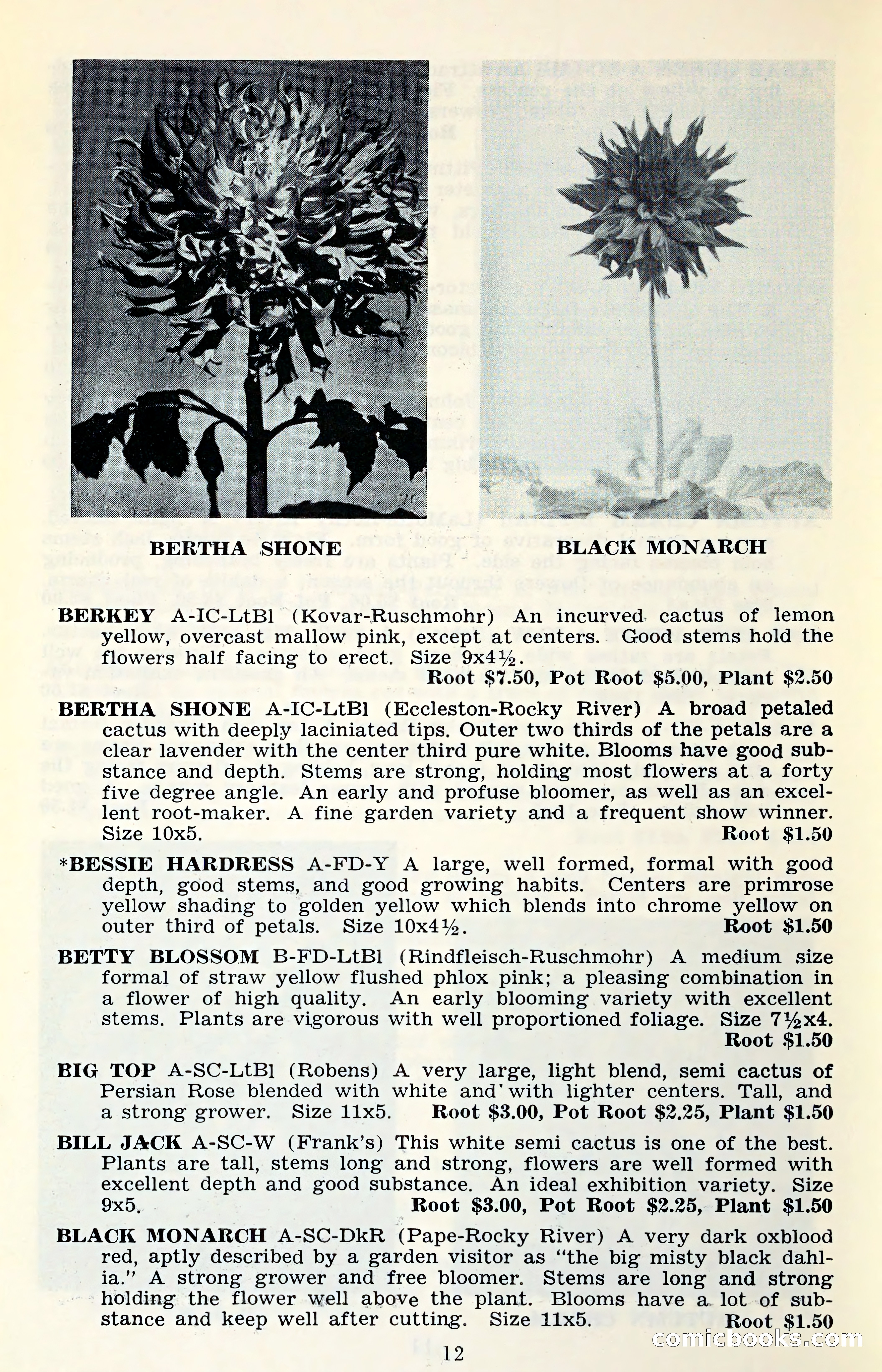 The Dahlia Blue Book for 1961 — page 15 of 71