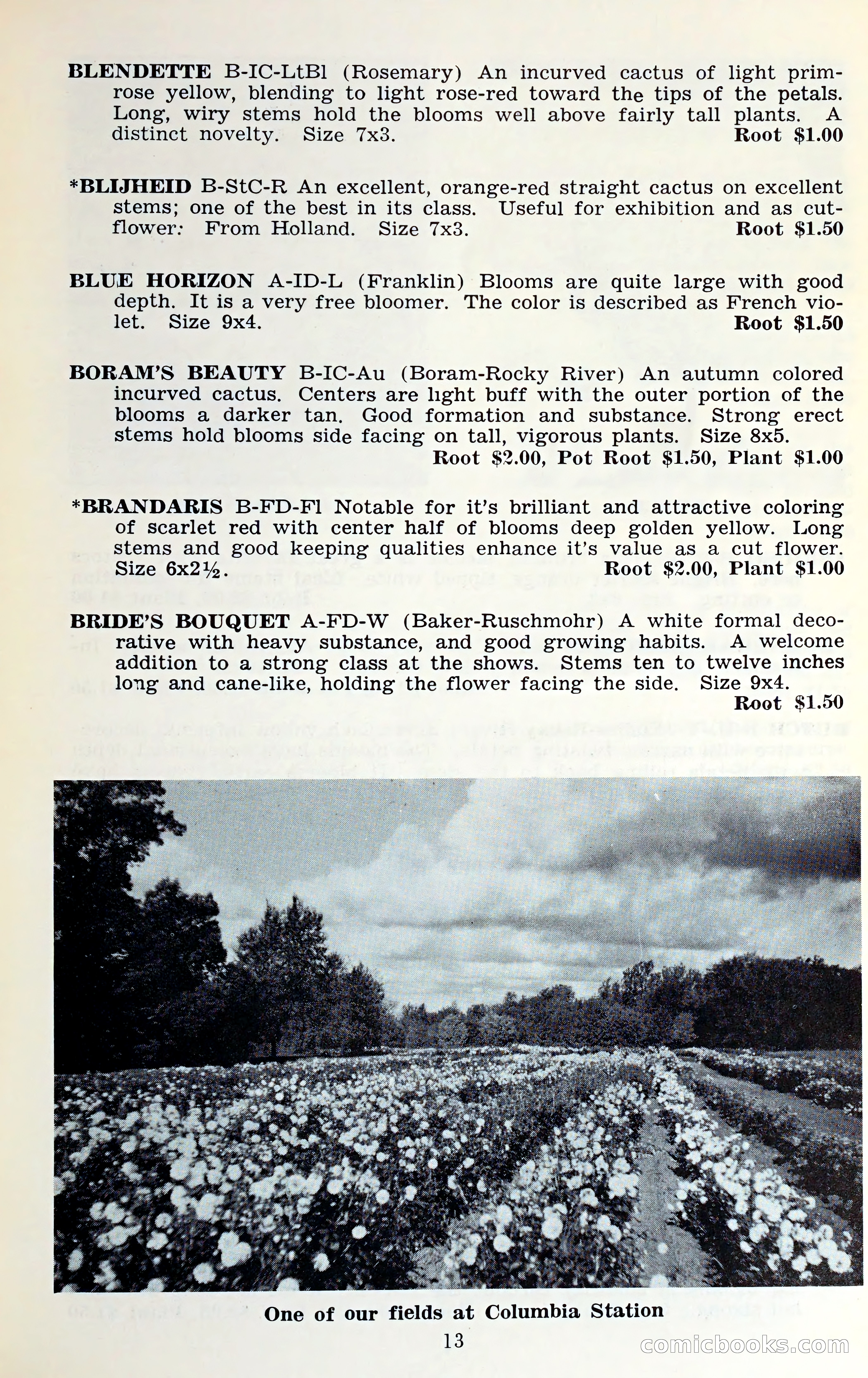The Dahlia Blue Book for 1961 — page 16 of 71