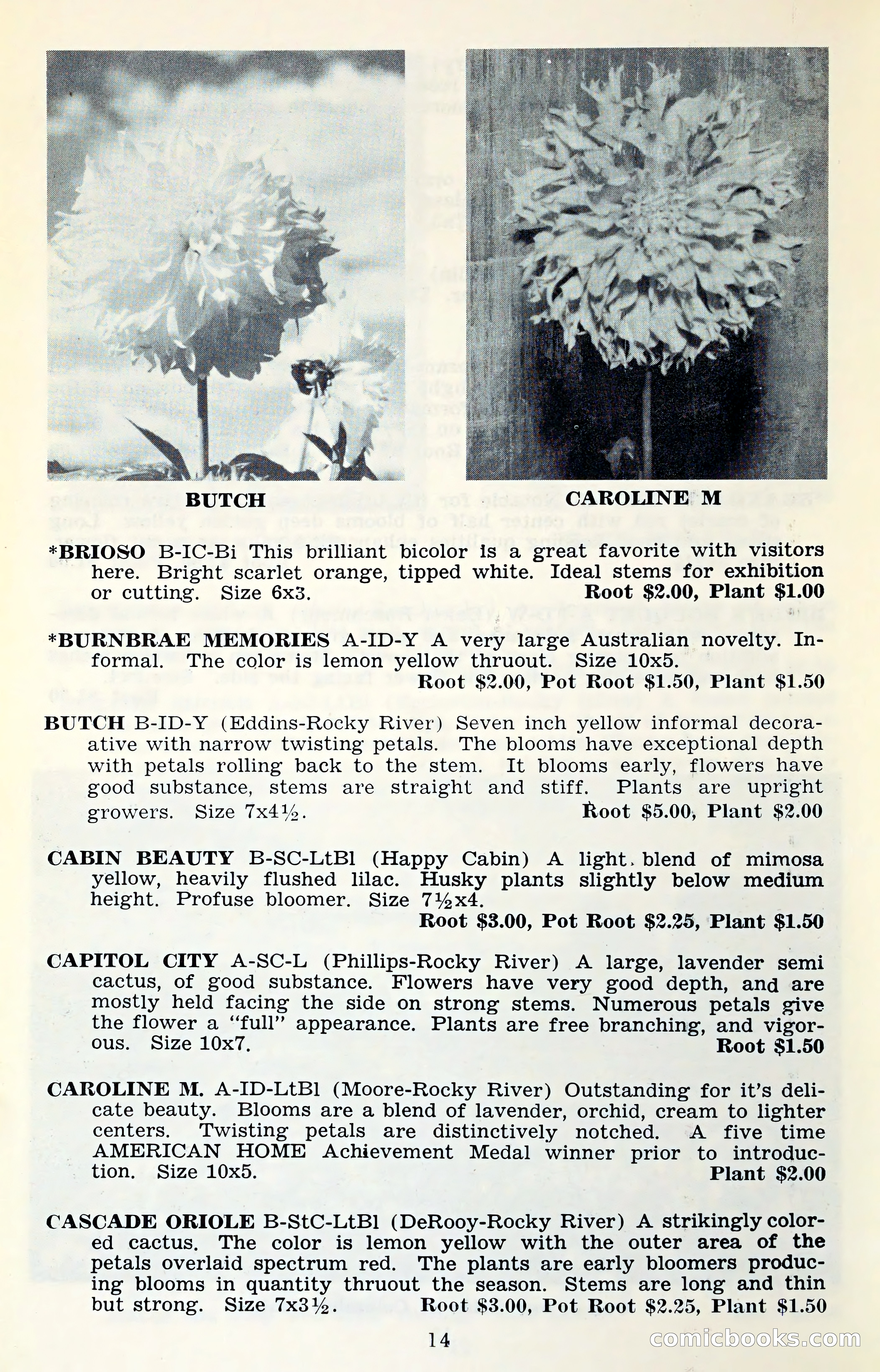 The Dahlia Blue Book for 1961 — page 17 of 71