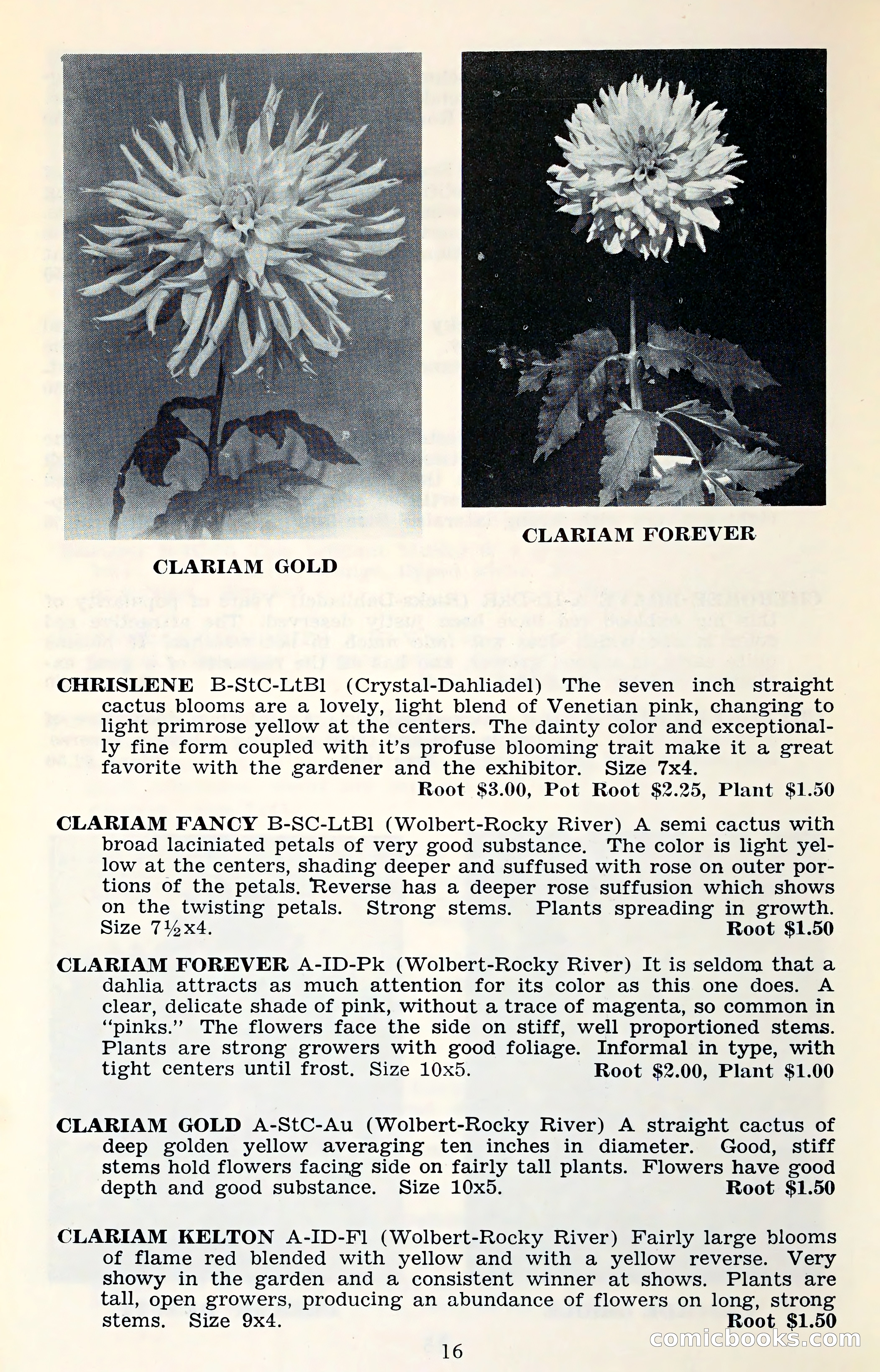 The Dahlia Blue Book for 1961 — page 19 of 71