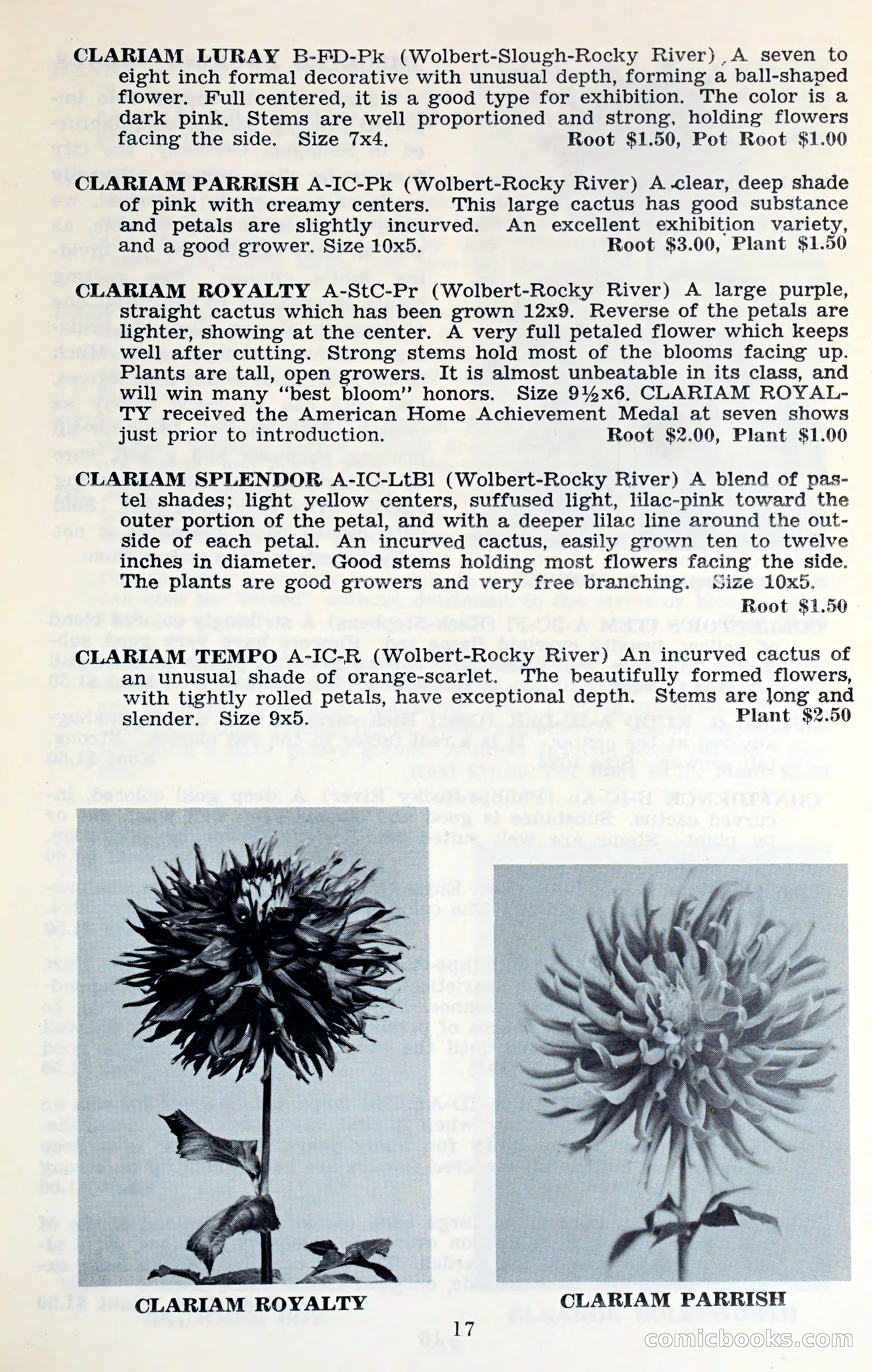 The Dahlia Blue Book for 1961 — page 20 of 71