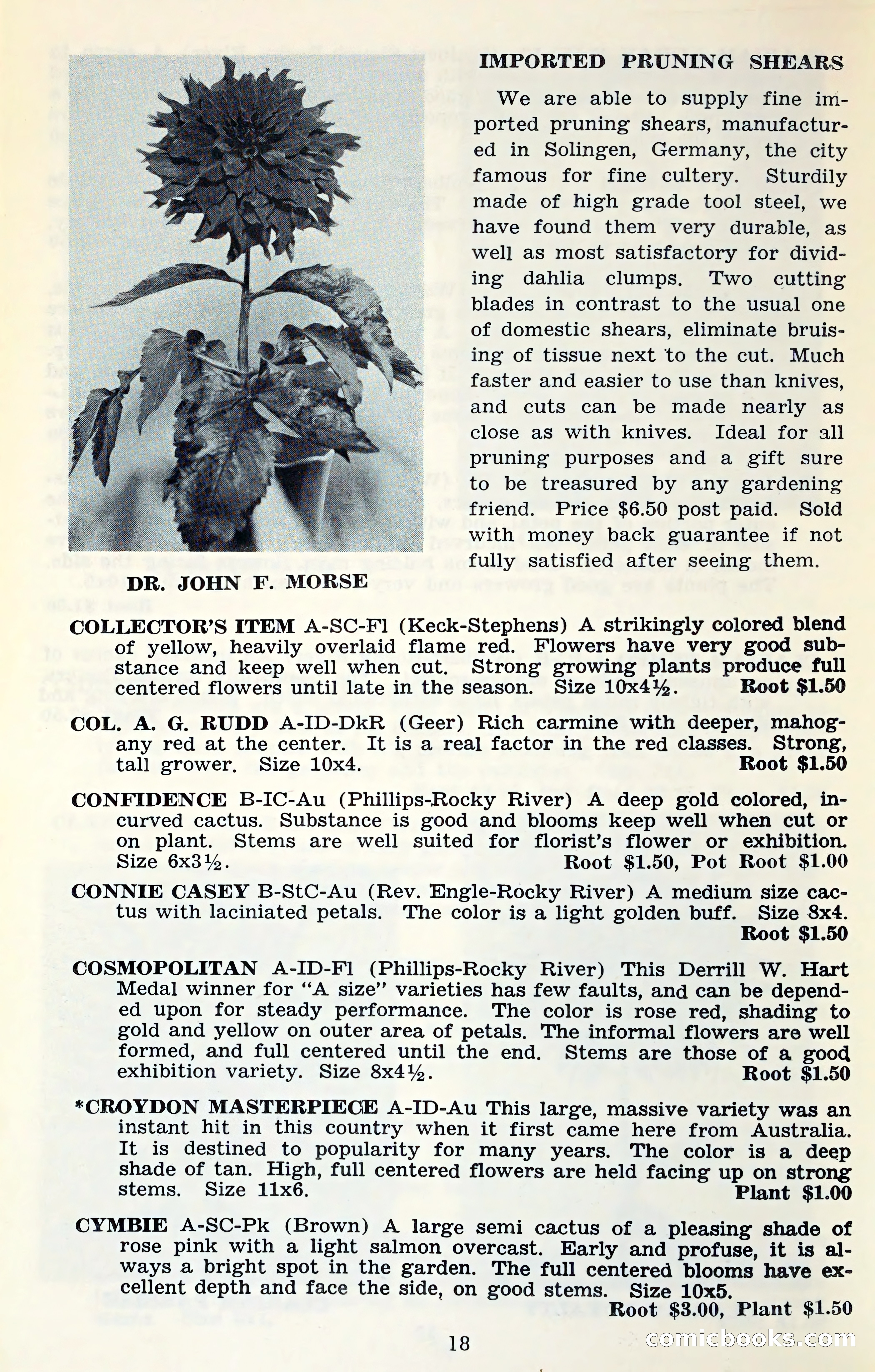 The Dahlia Blue Book for 1961 — page 21 of 71