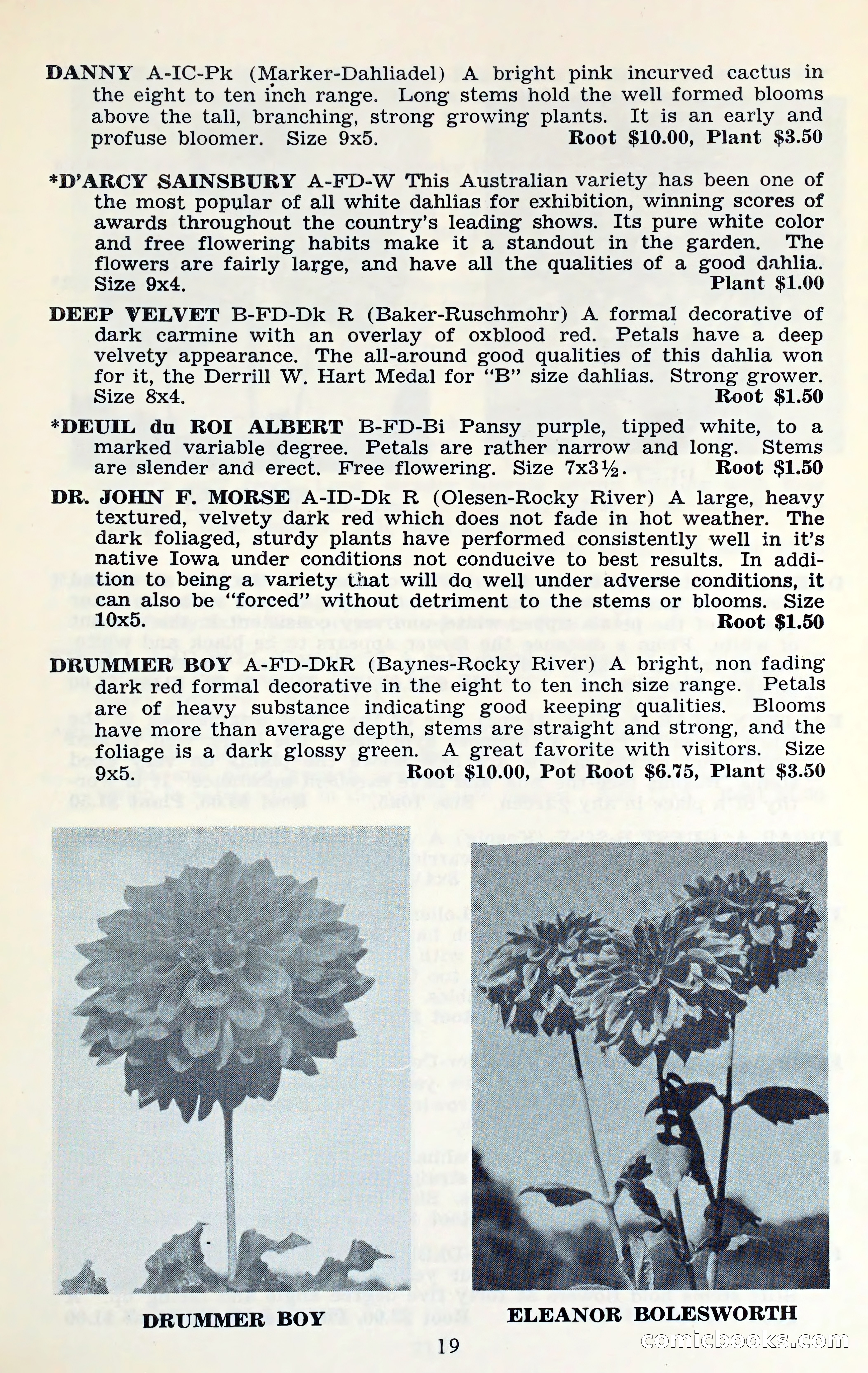 The Dahlia Blue Book for 1961 — page 22 of 71