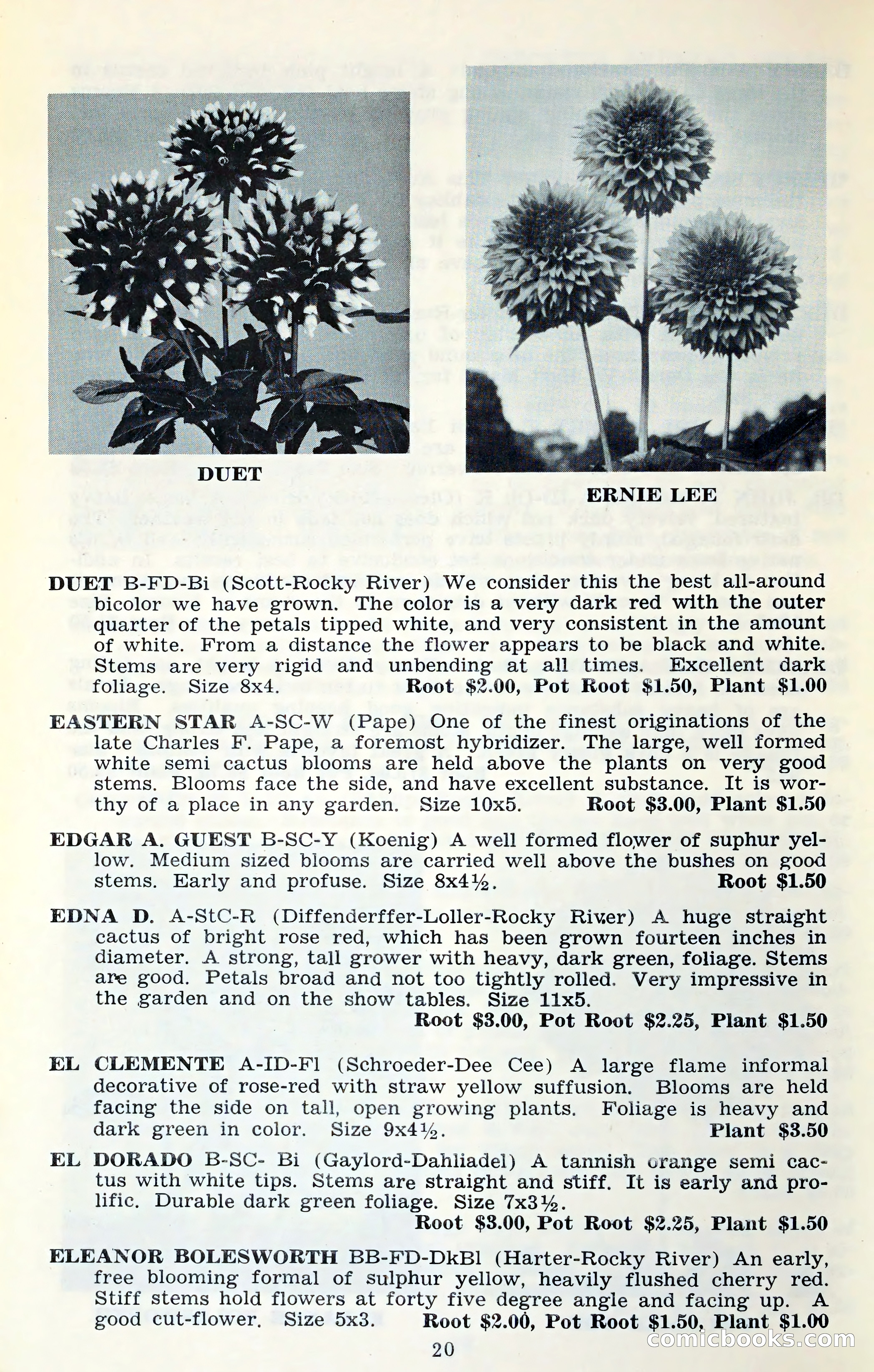 The Dahlia Blue Book for 1961 — page 23 of 71