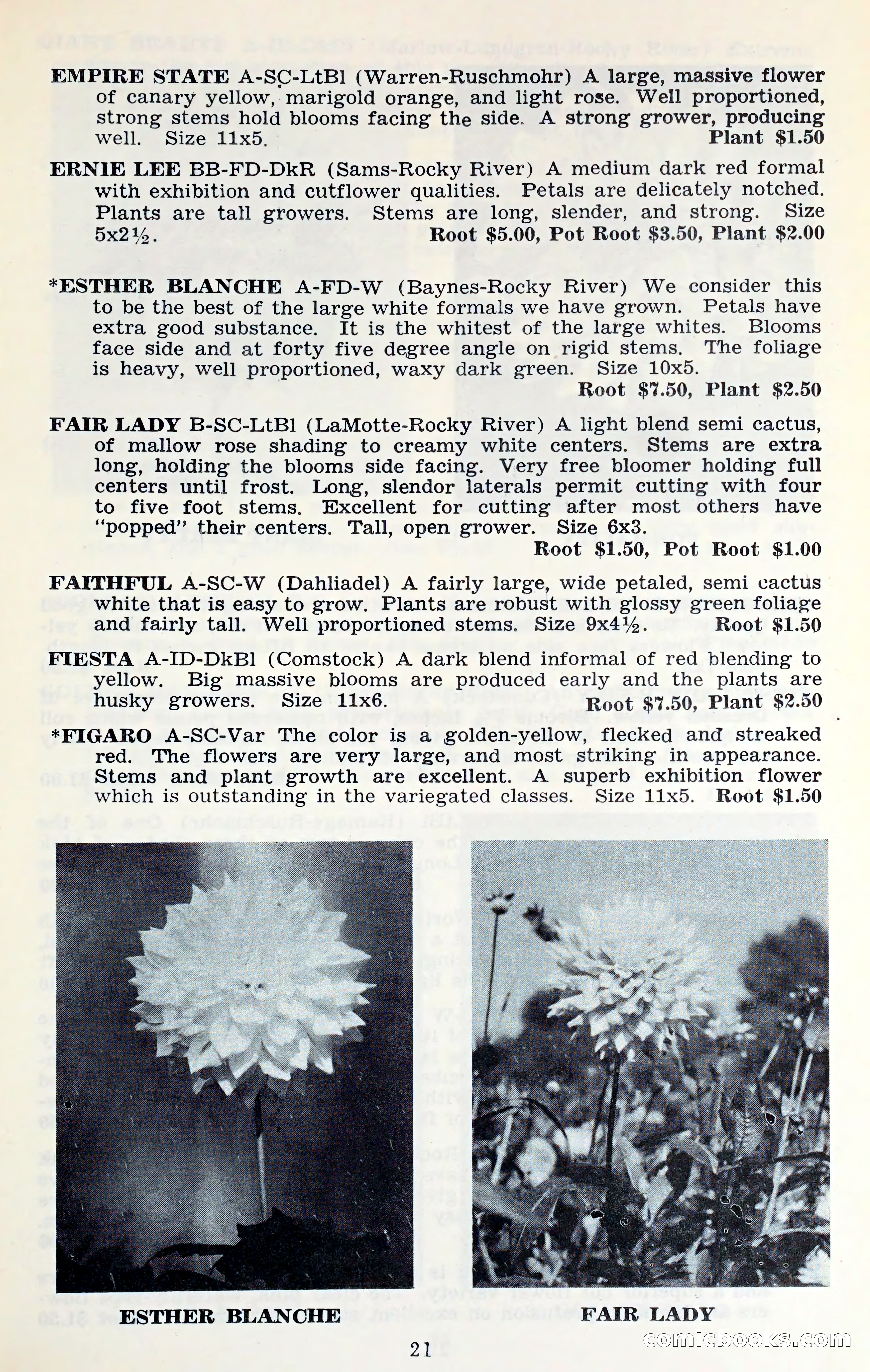 The Dahlia Blue Book for 1961 — page 24 of 71
