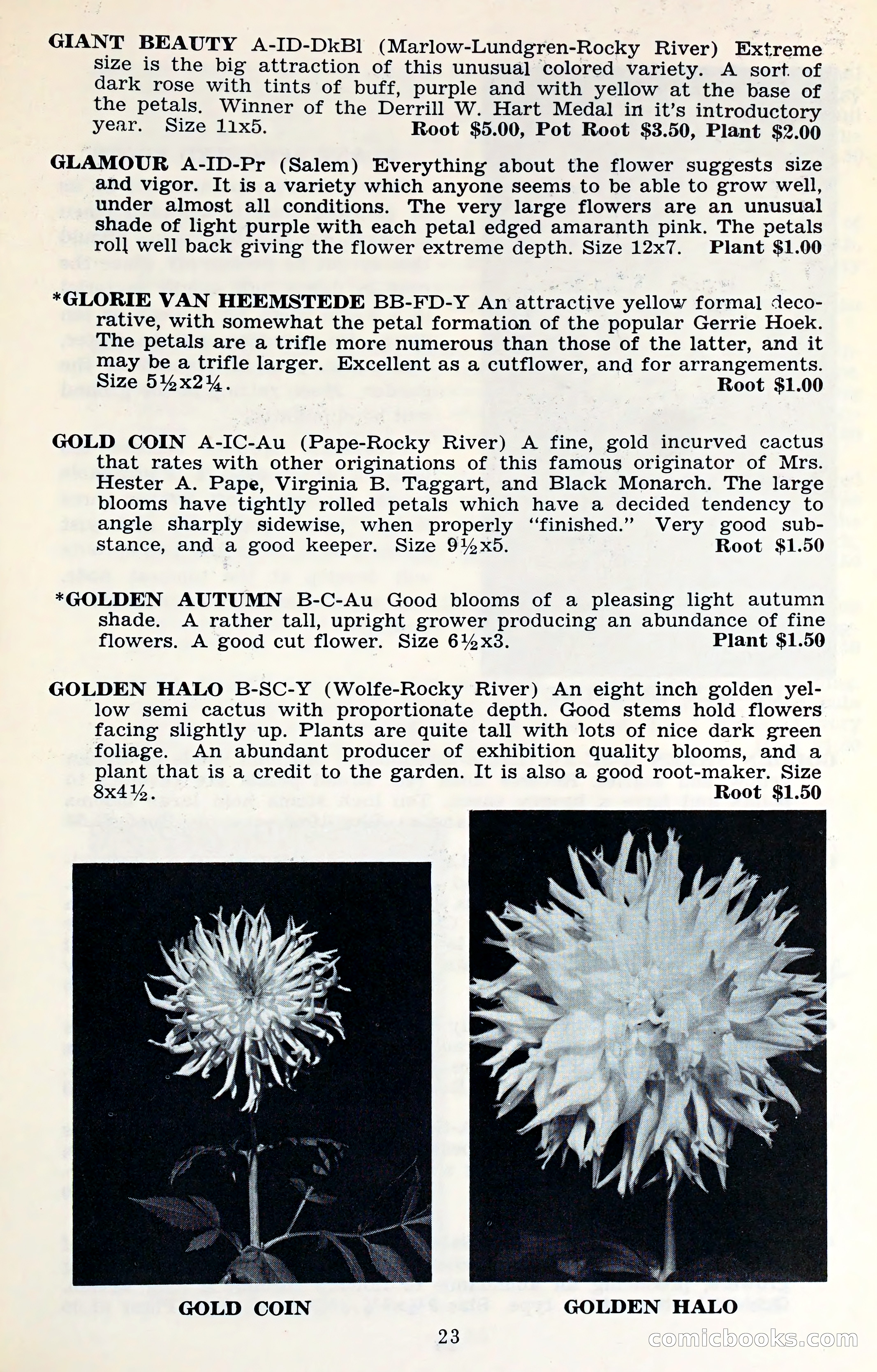 The Dahlia Blue Book for 1961 — page 26 of 71
