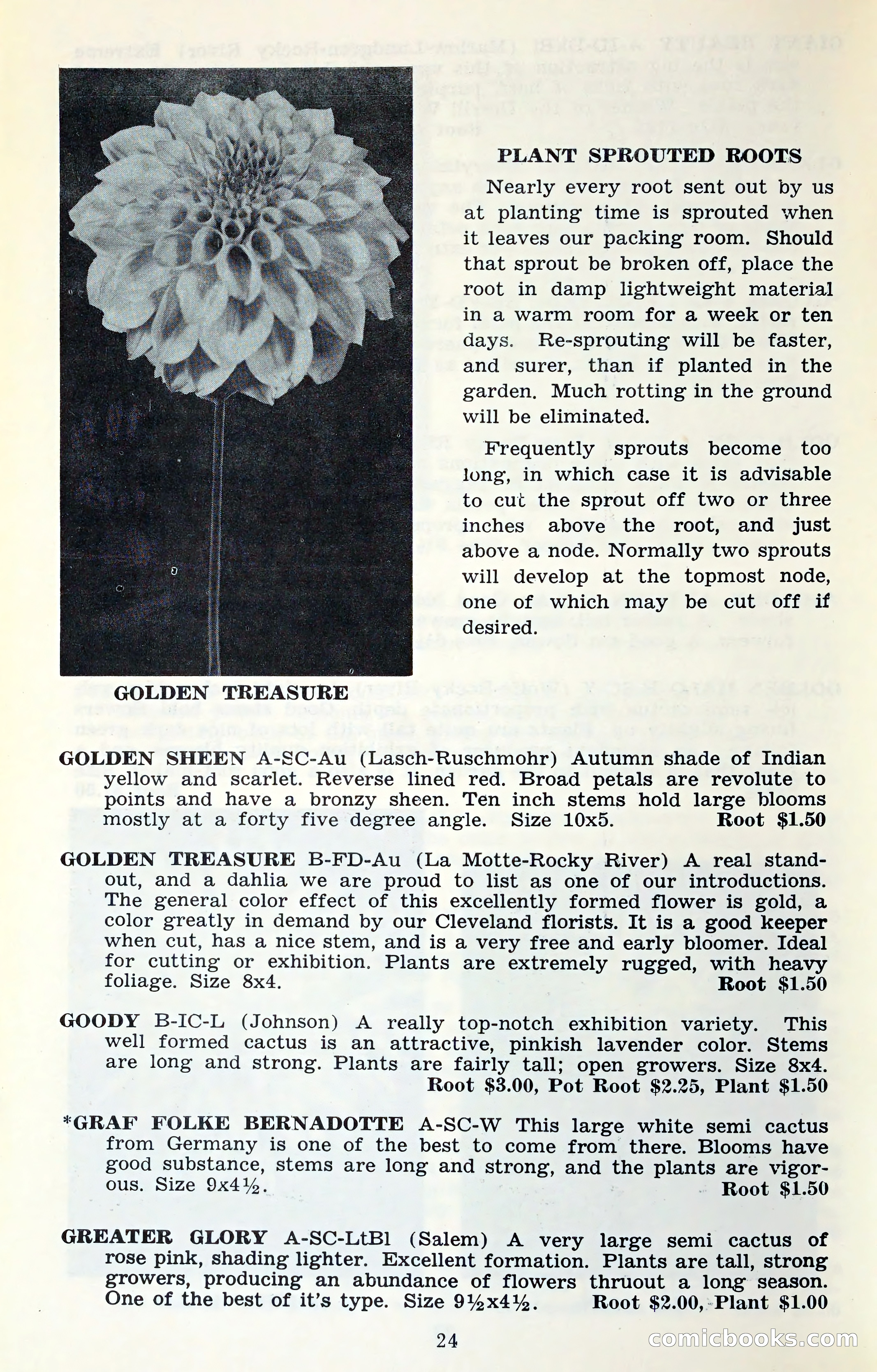 The Dahlia Blue Book for 1961 — page 27 of 71