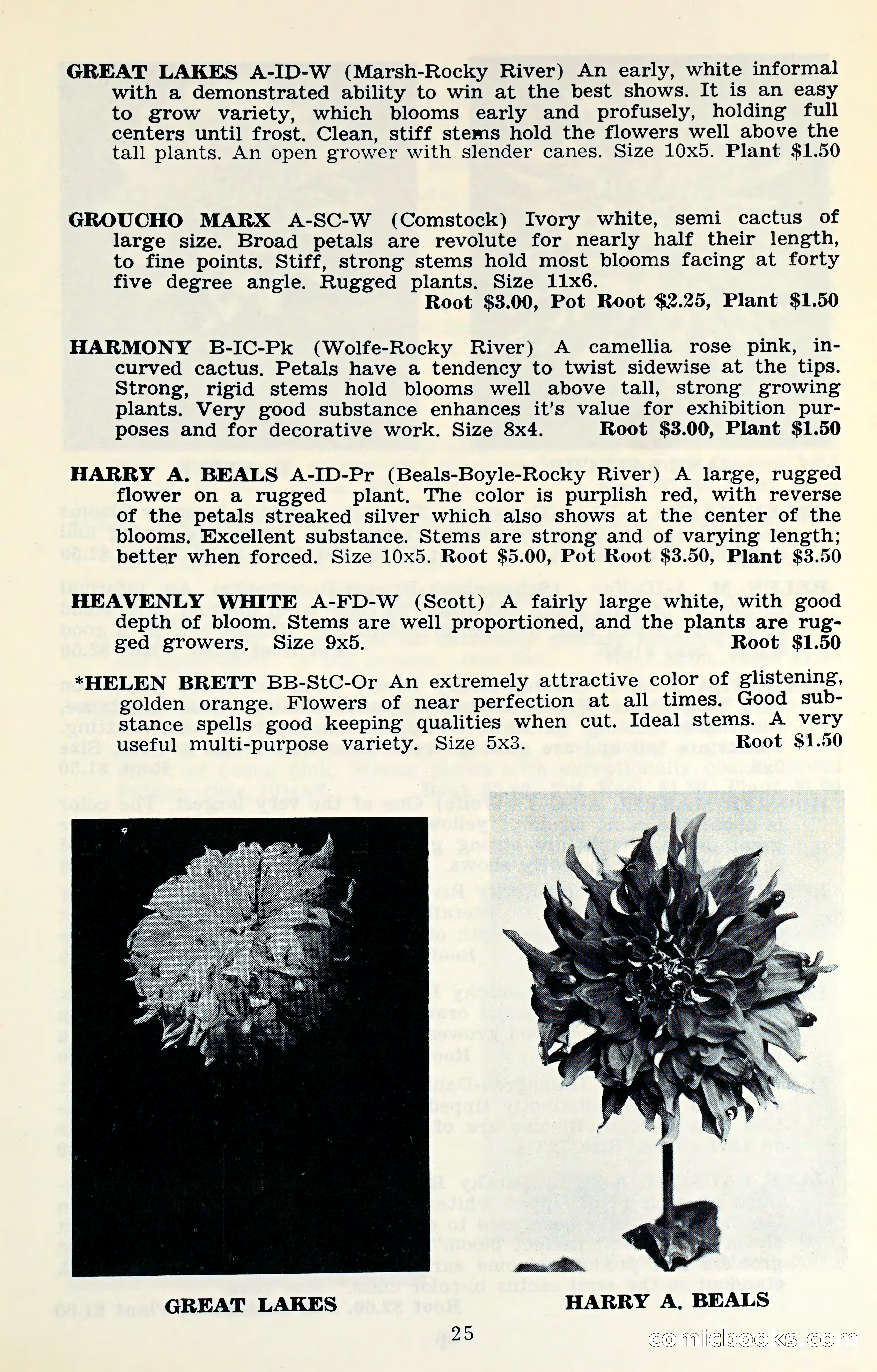 The Dahlia Blue Book for 1961 — page 28 of 71
