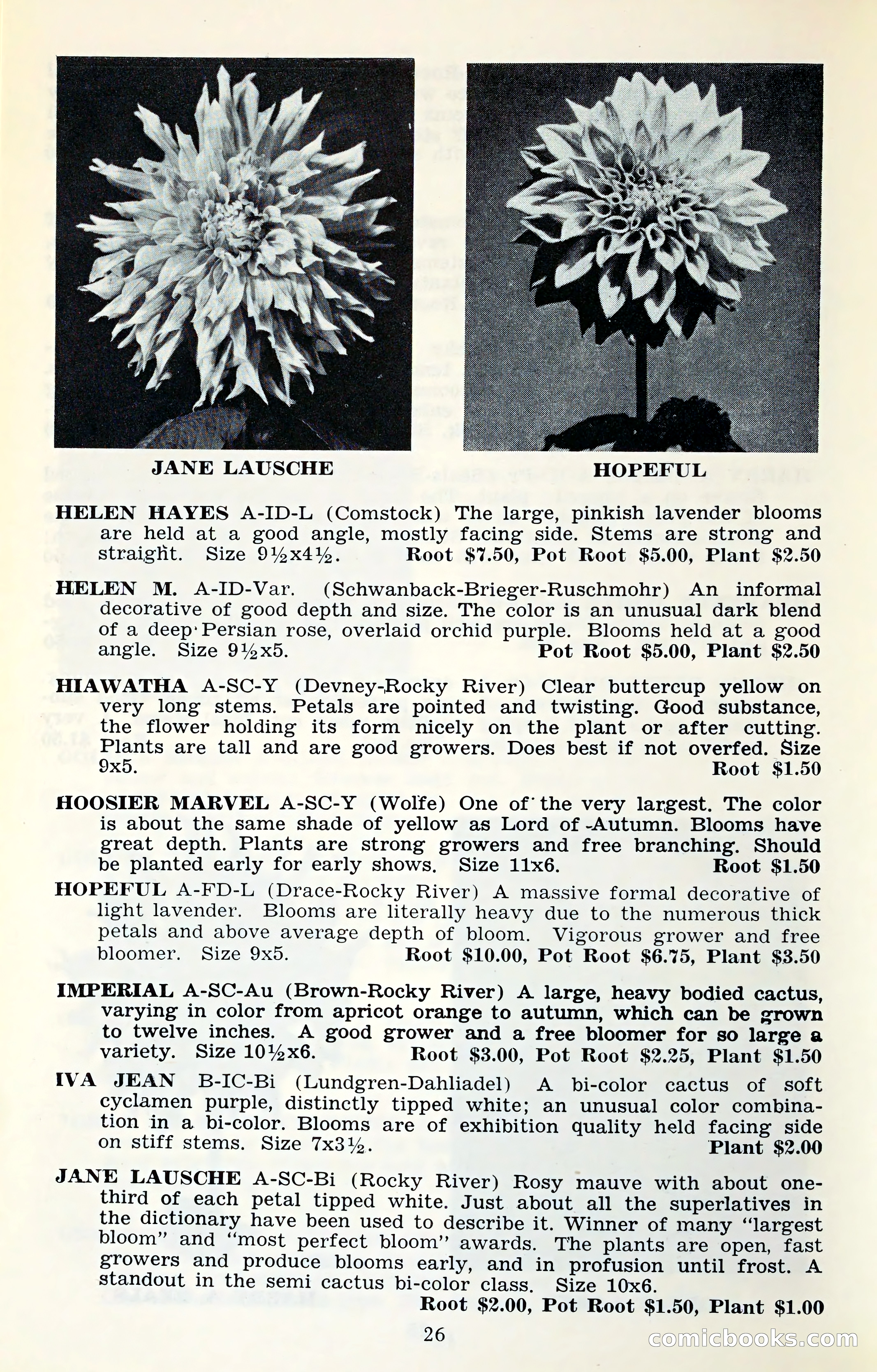 The Dahlia Blue Book for 1961 — page 29 of 71