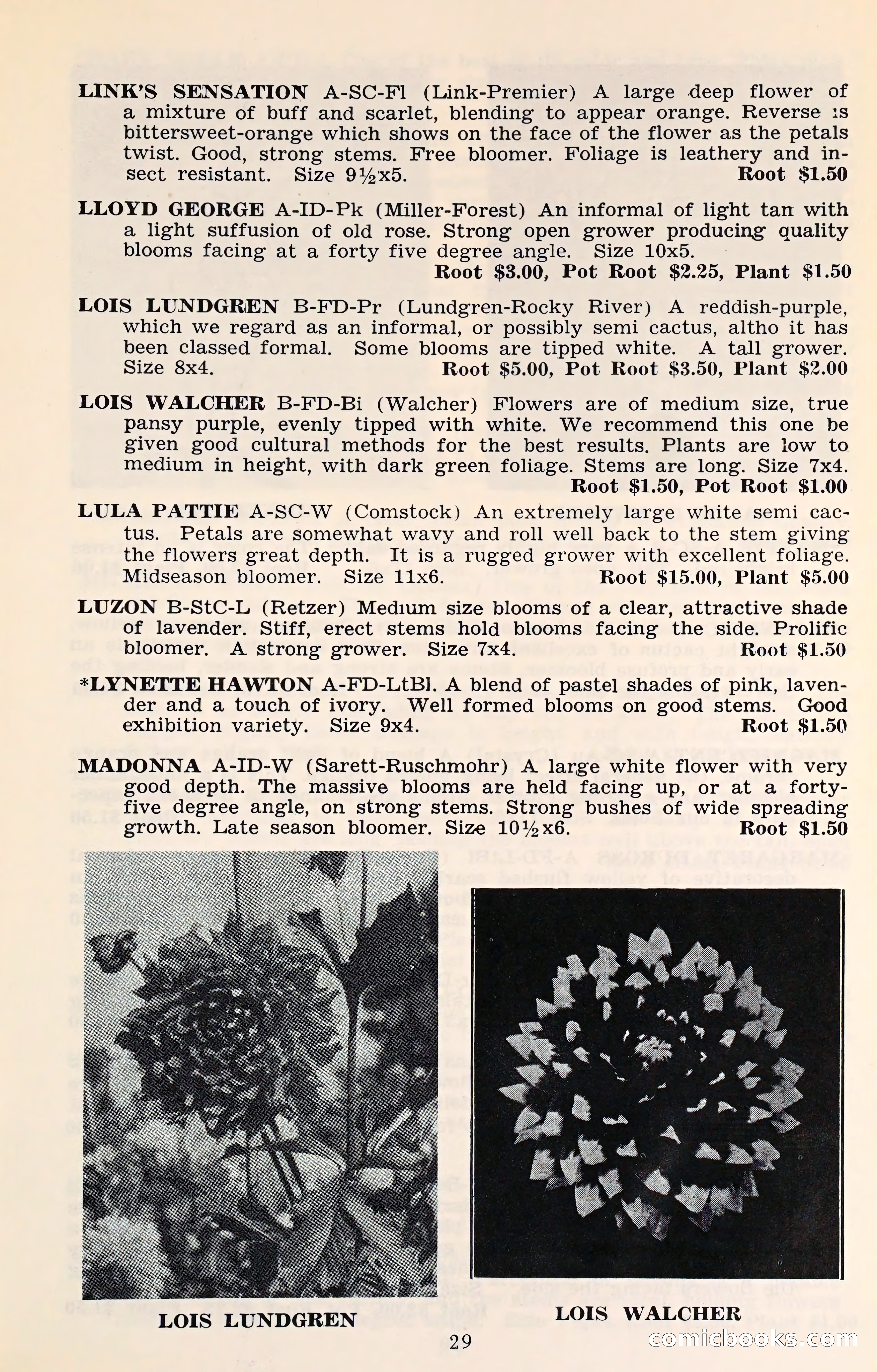 The Dahlia Blue Book for 1961 — page 32 of 71