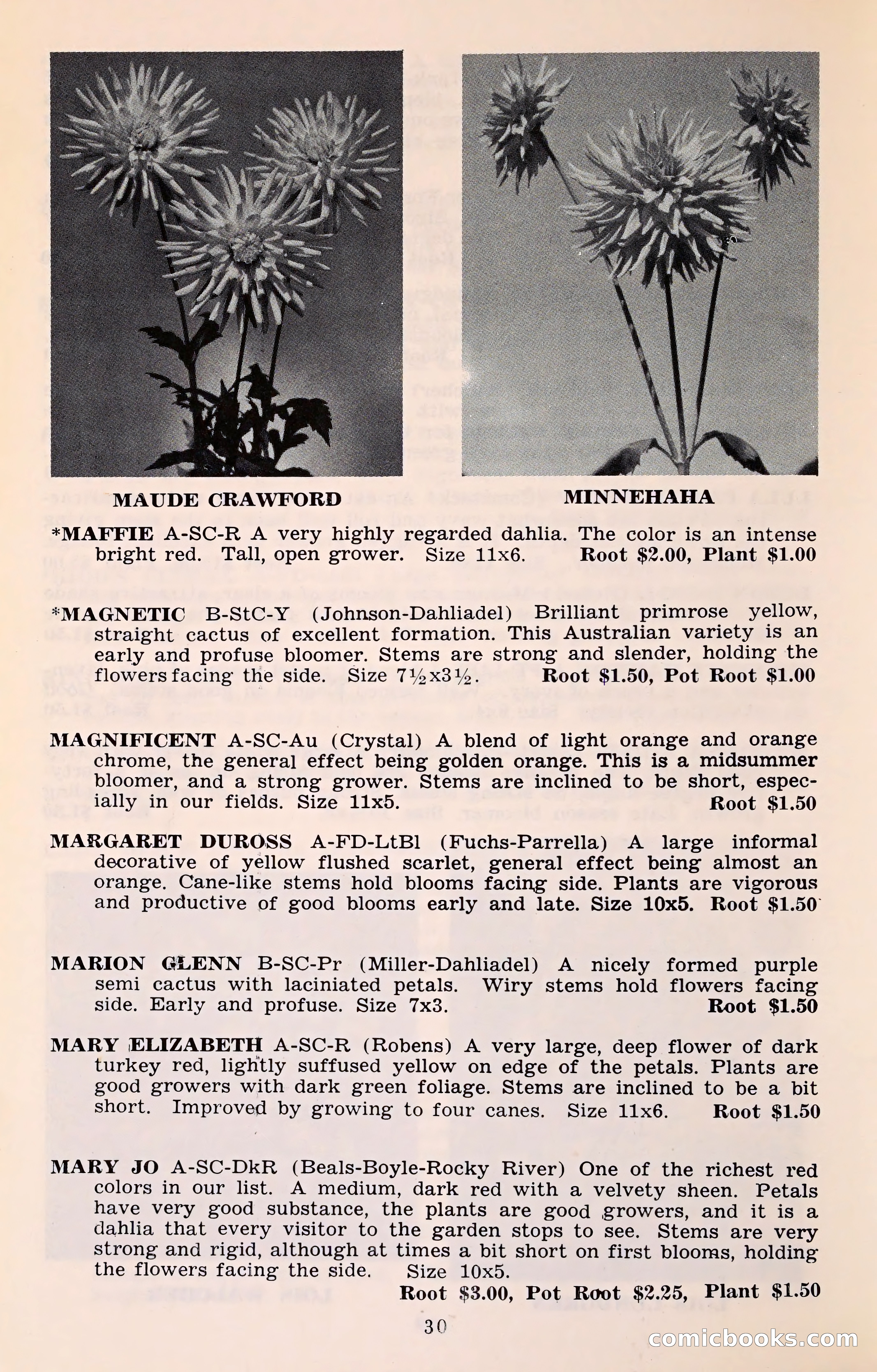 The Dahlia Blue Book for 1961 — page 33 of 71