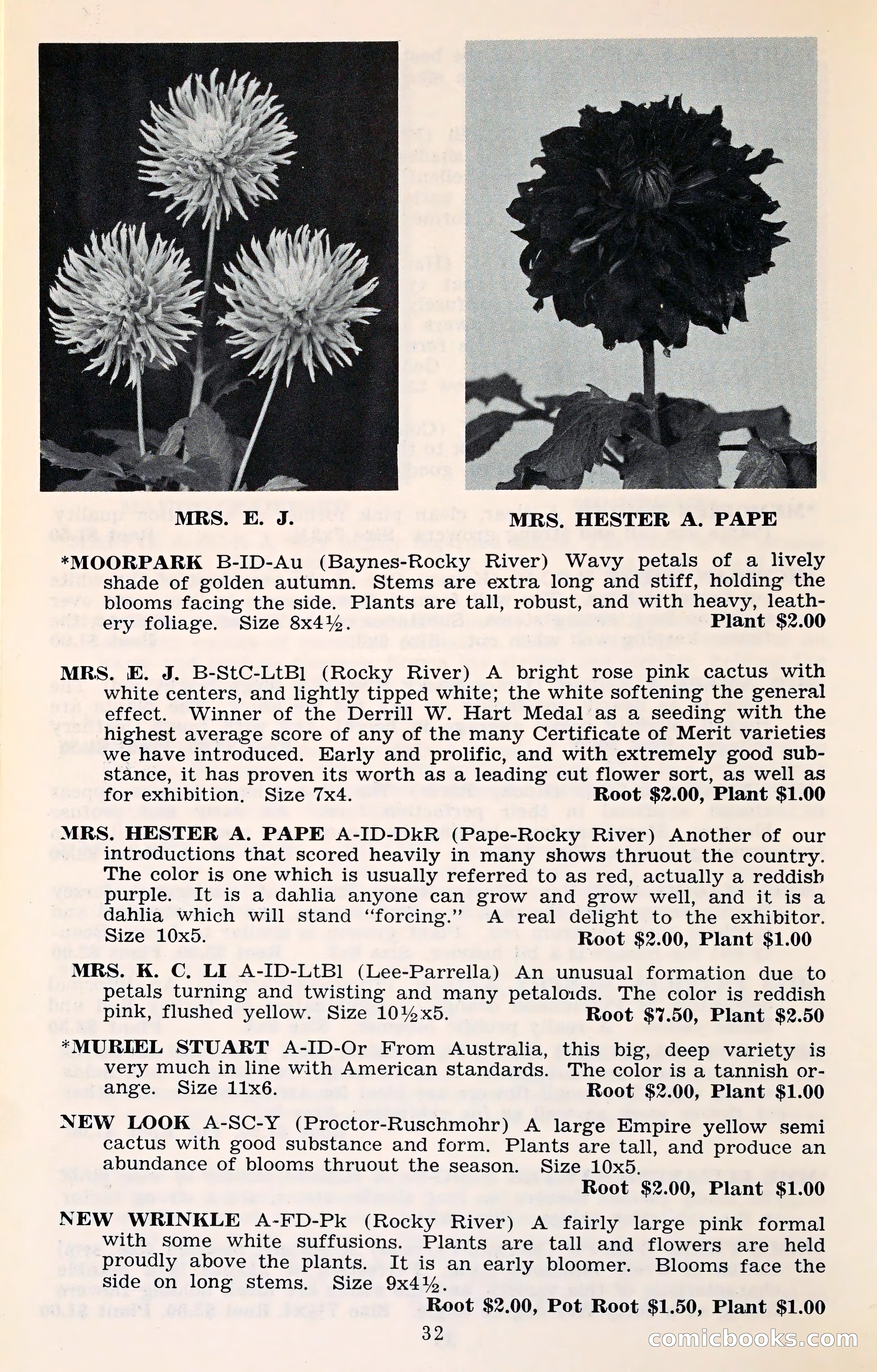 The Dahlia Blue Book for 1961 — page 35 of 71