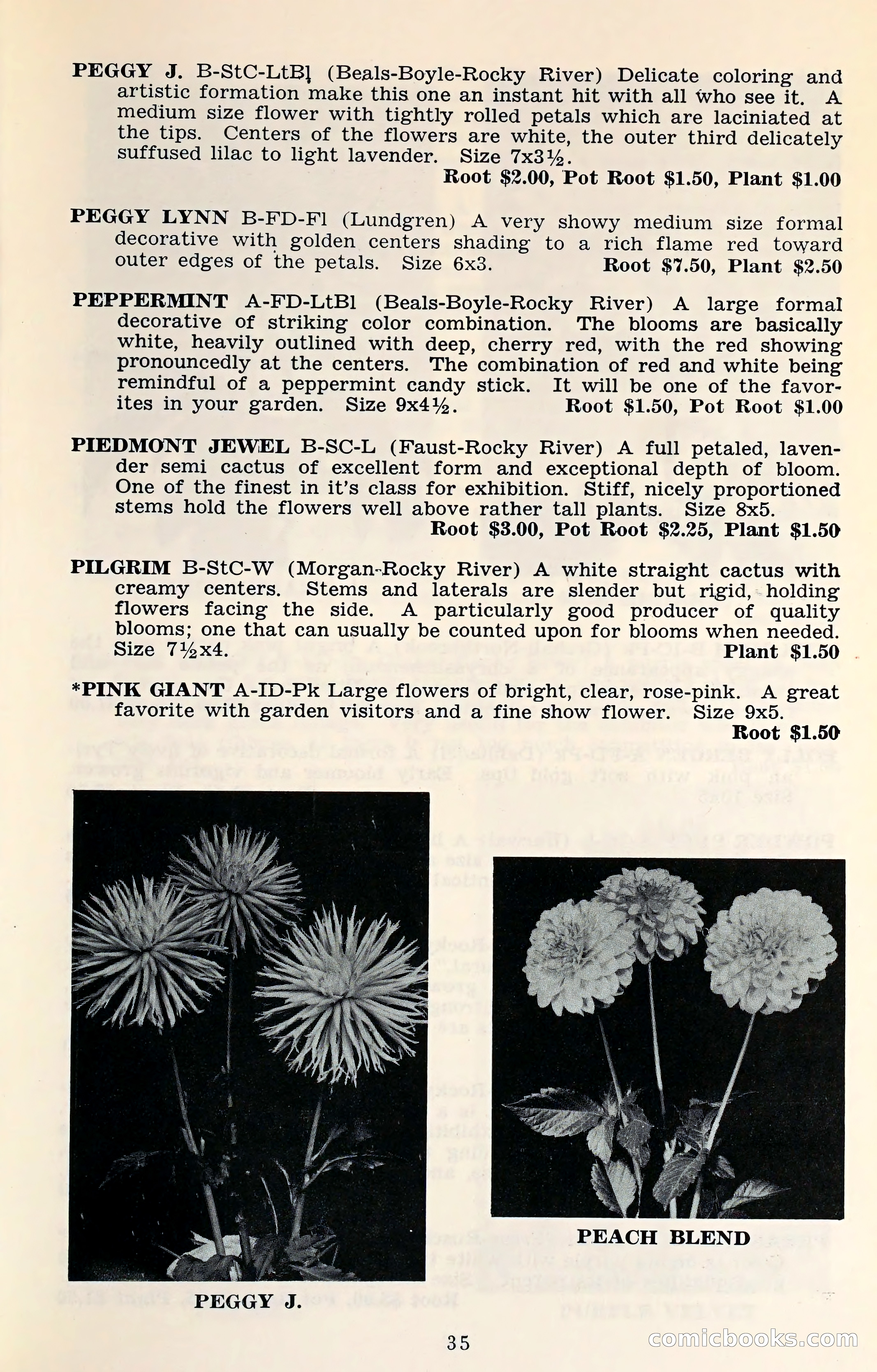 The Dahlia Blue Book for 1961 — page 38 of 71
