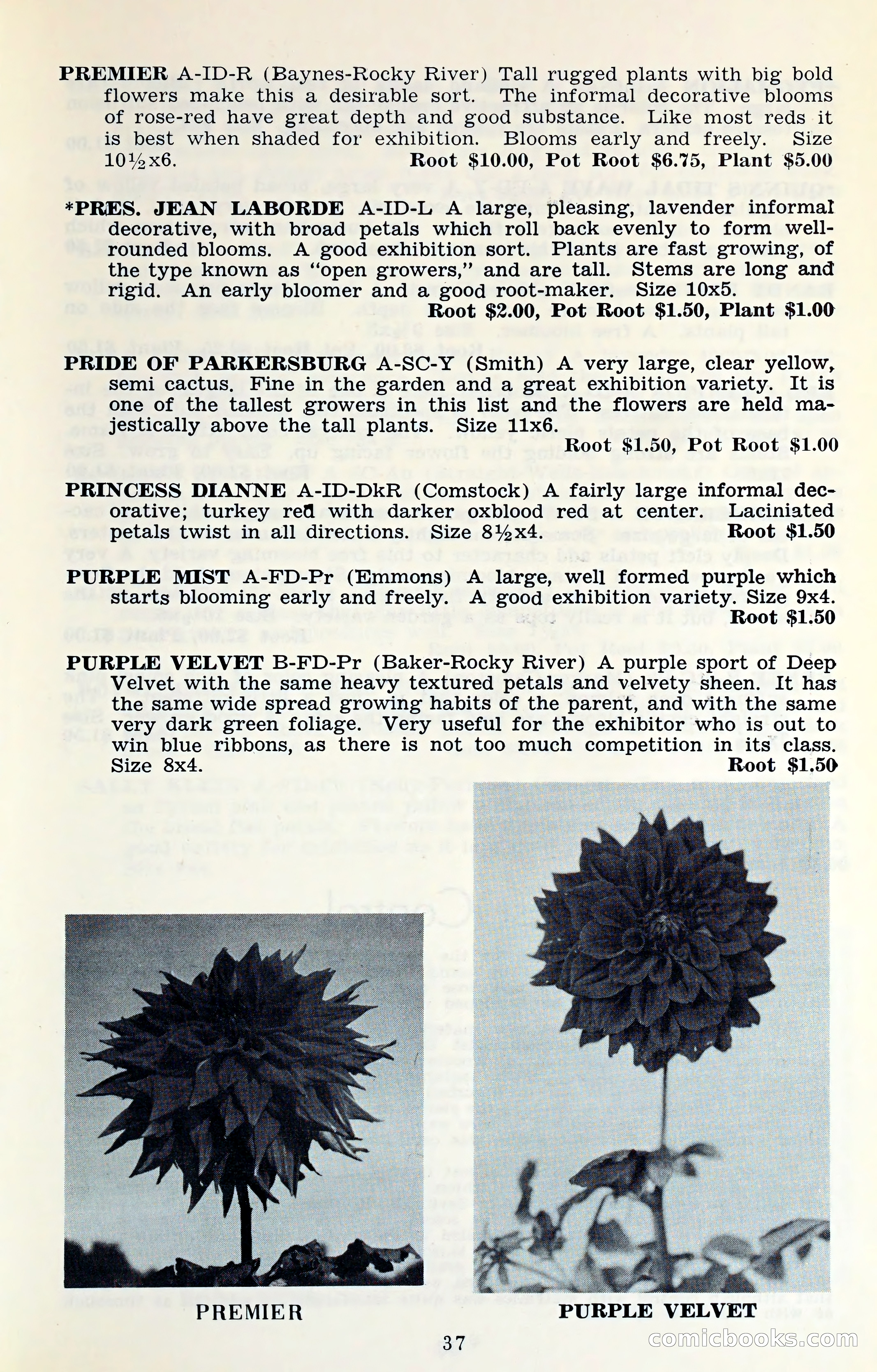 The Dahlia Blue Book for 1961 — page 40 of 71