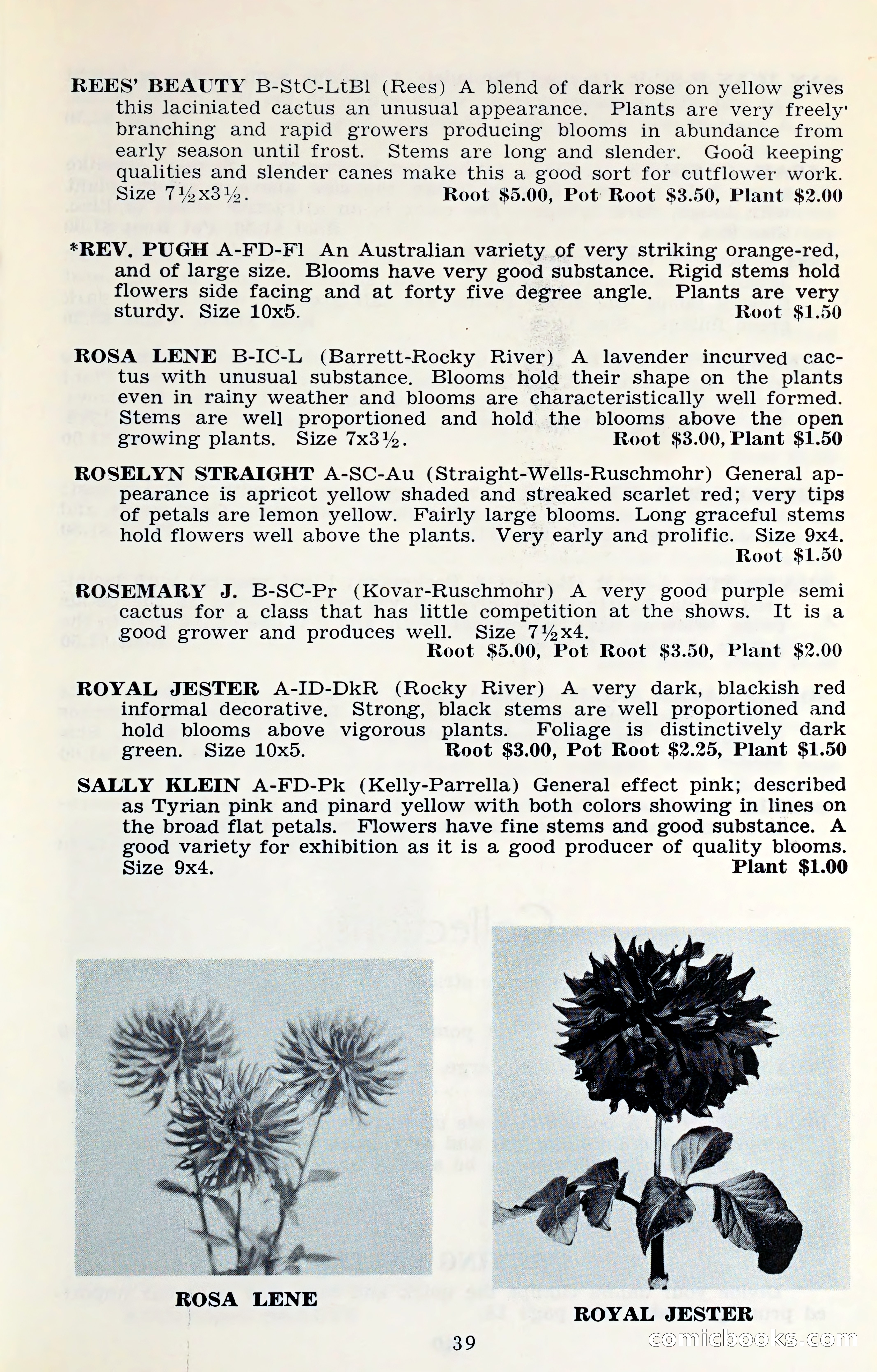The Dahlia Blue Book for 1961 — page 42 of 71