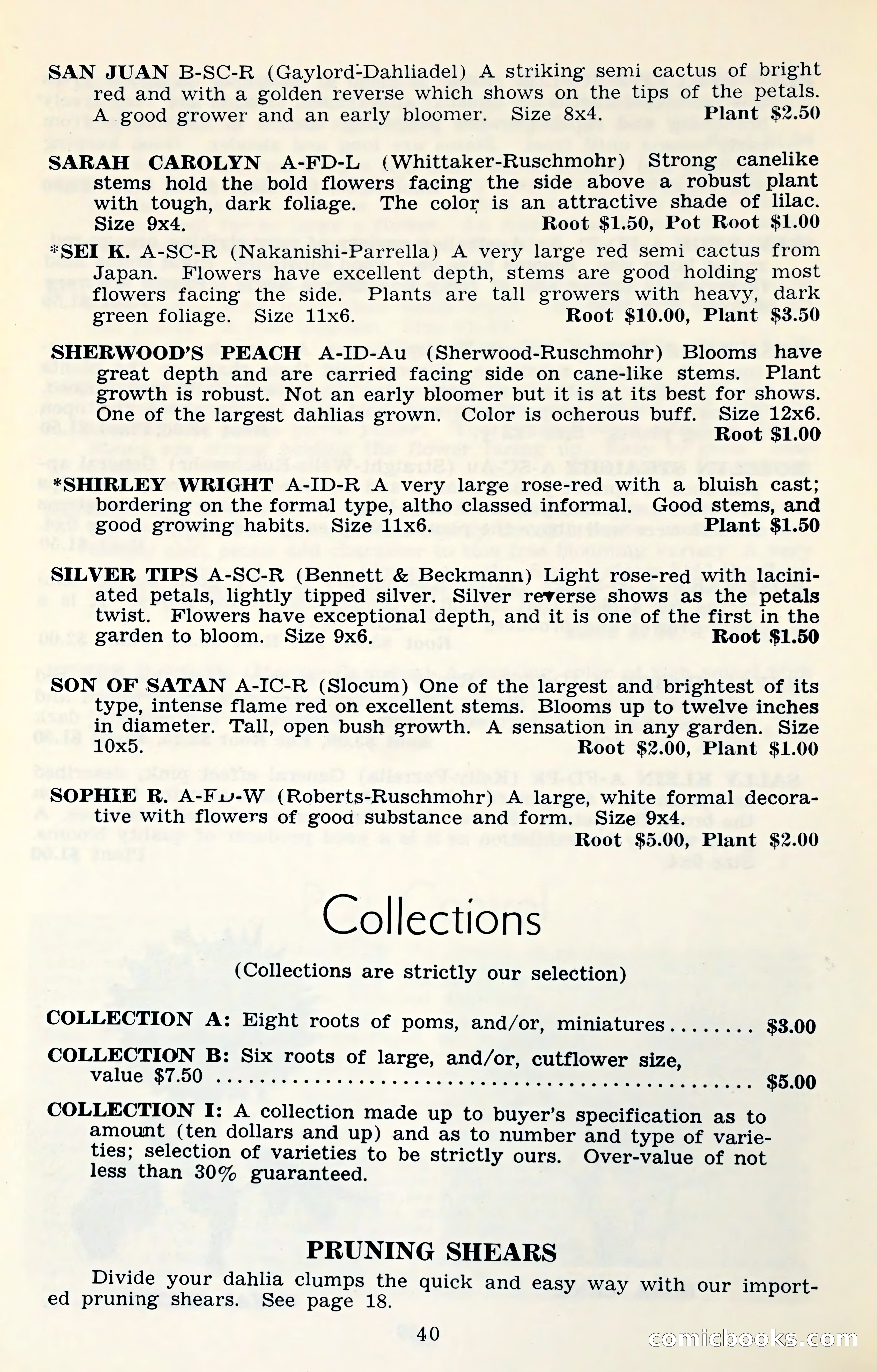 The Dahlia Blue Book for 1961 — page 43 of 71