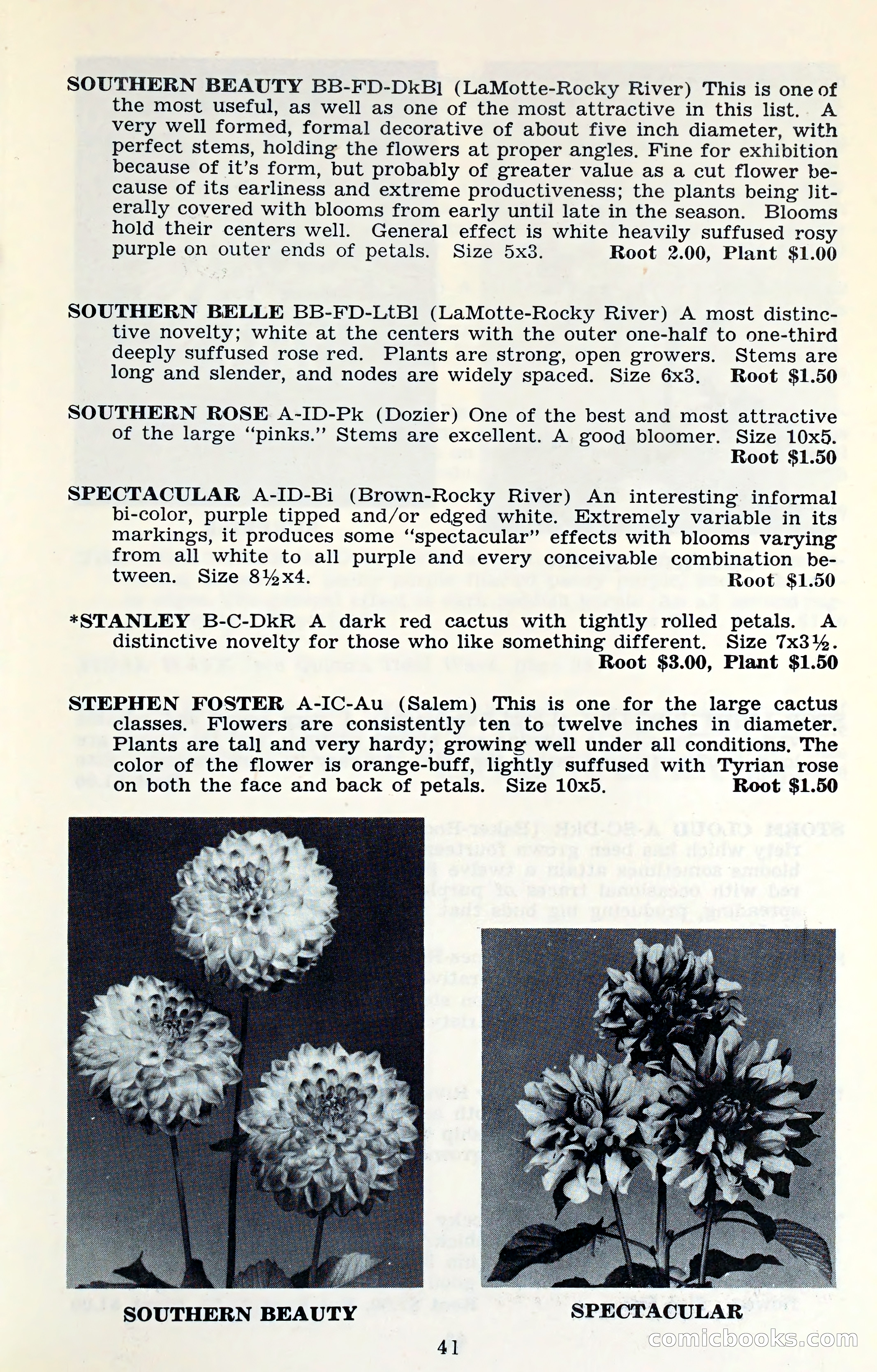 The Dahlia Blue Book for 1961 — page 44 of 71