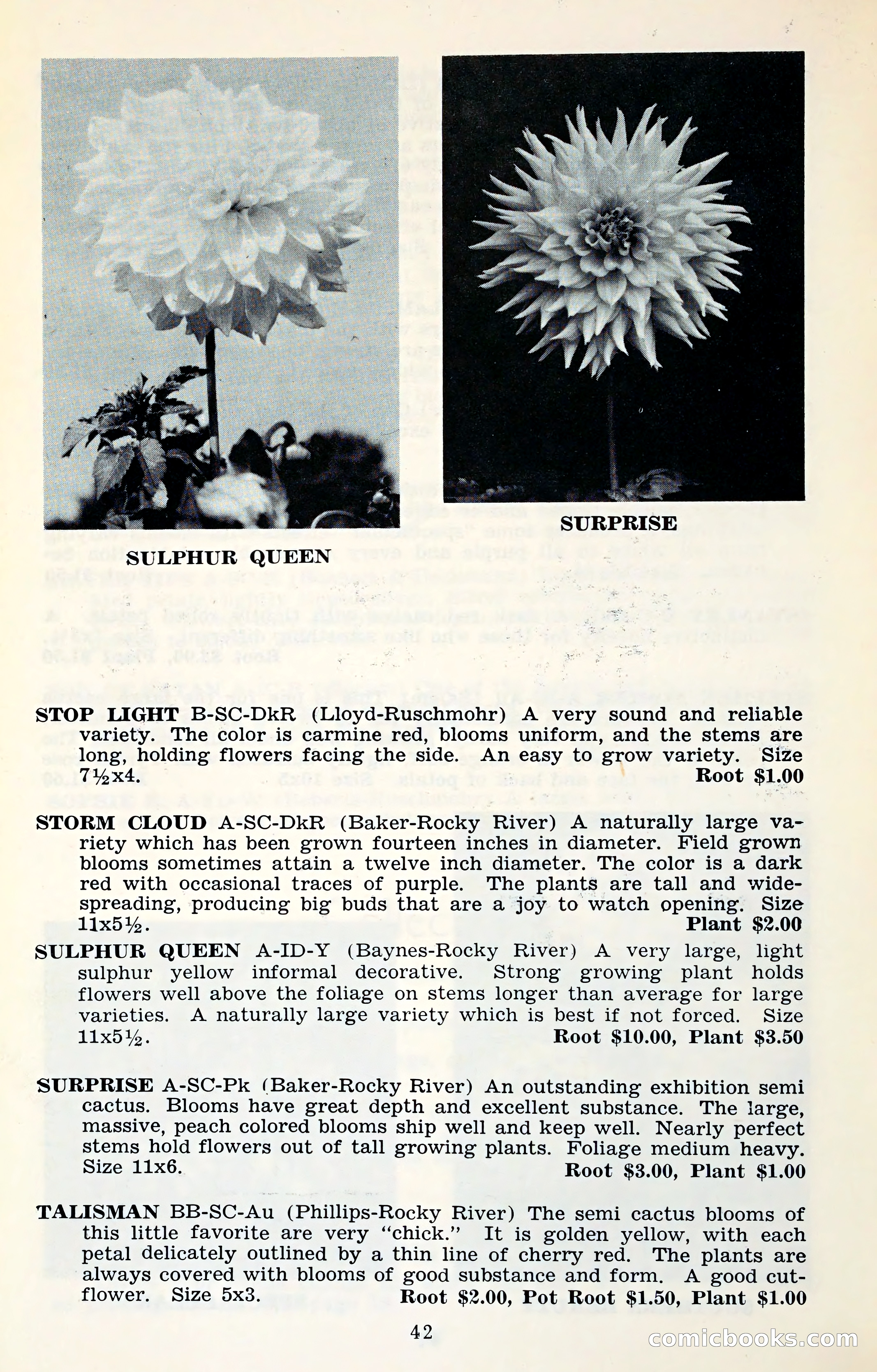 The Dahlia Blue Book for 1961 — page 45 of 71