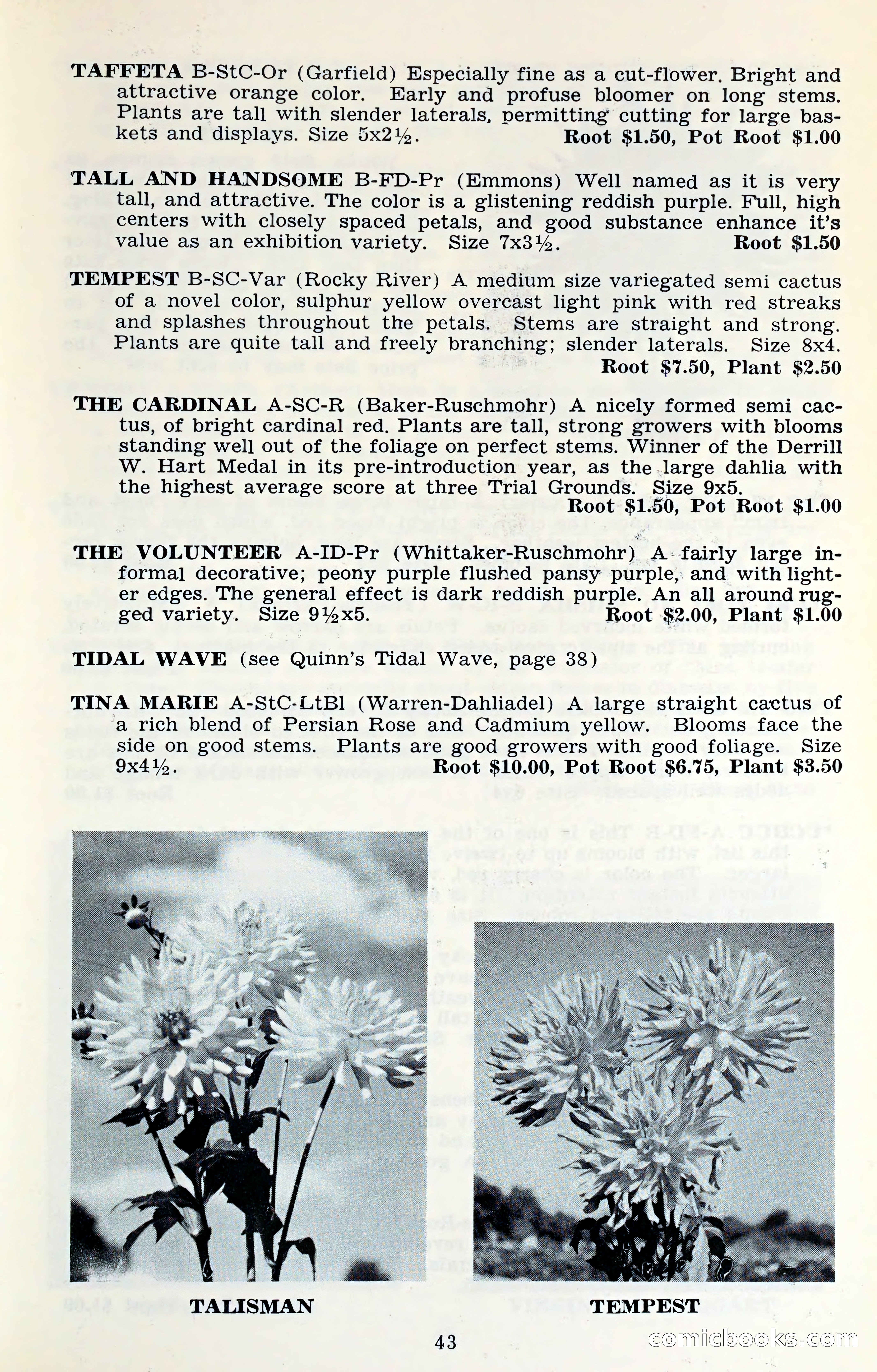 The Dahlia Blue Book for 1961 — page 46 of 71