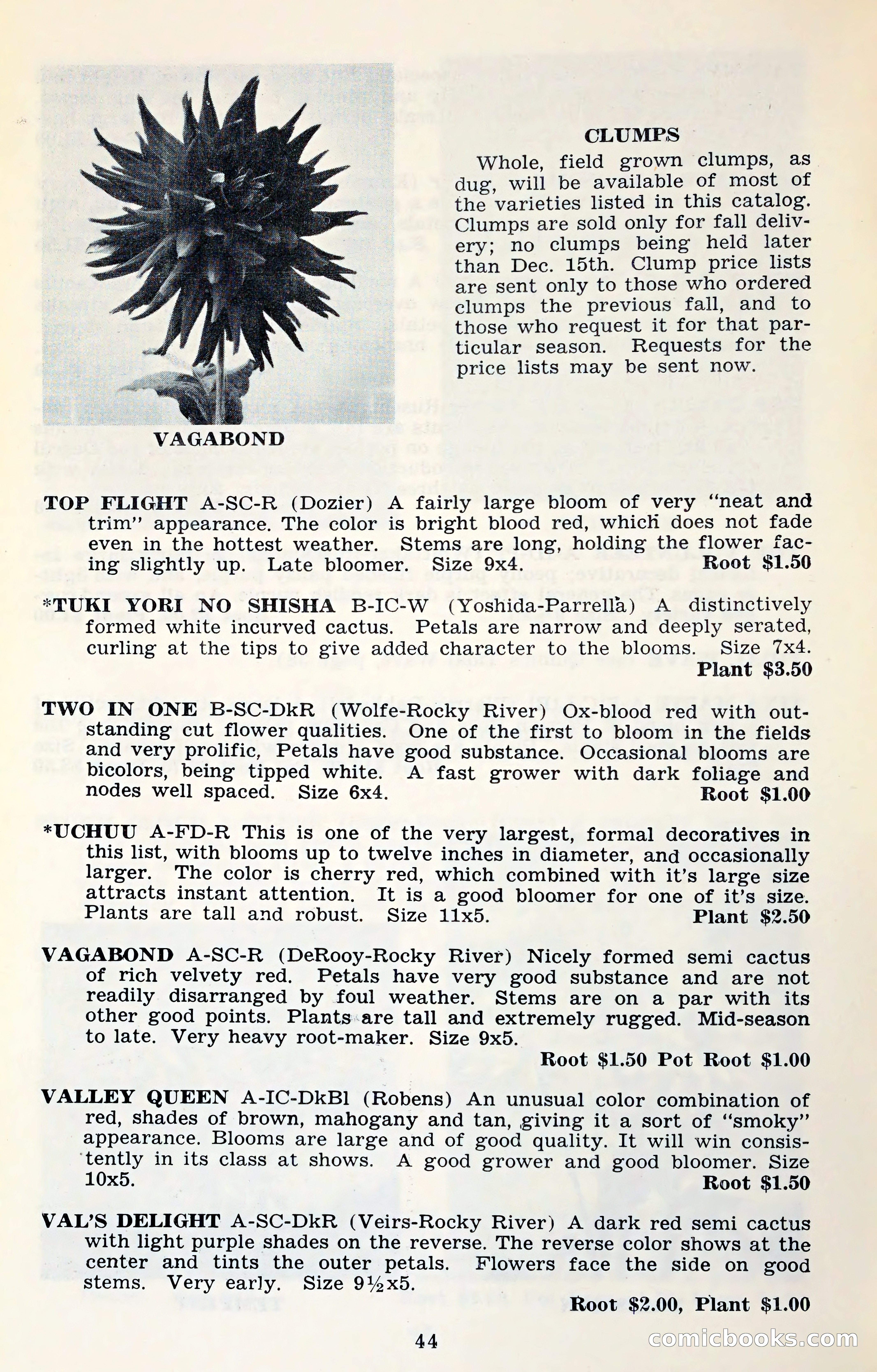 The Dahlia Blue Book for 1961 — page 47 of 71