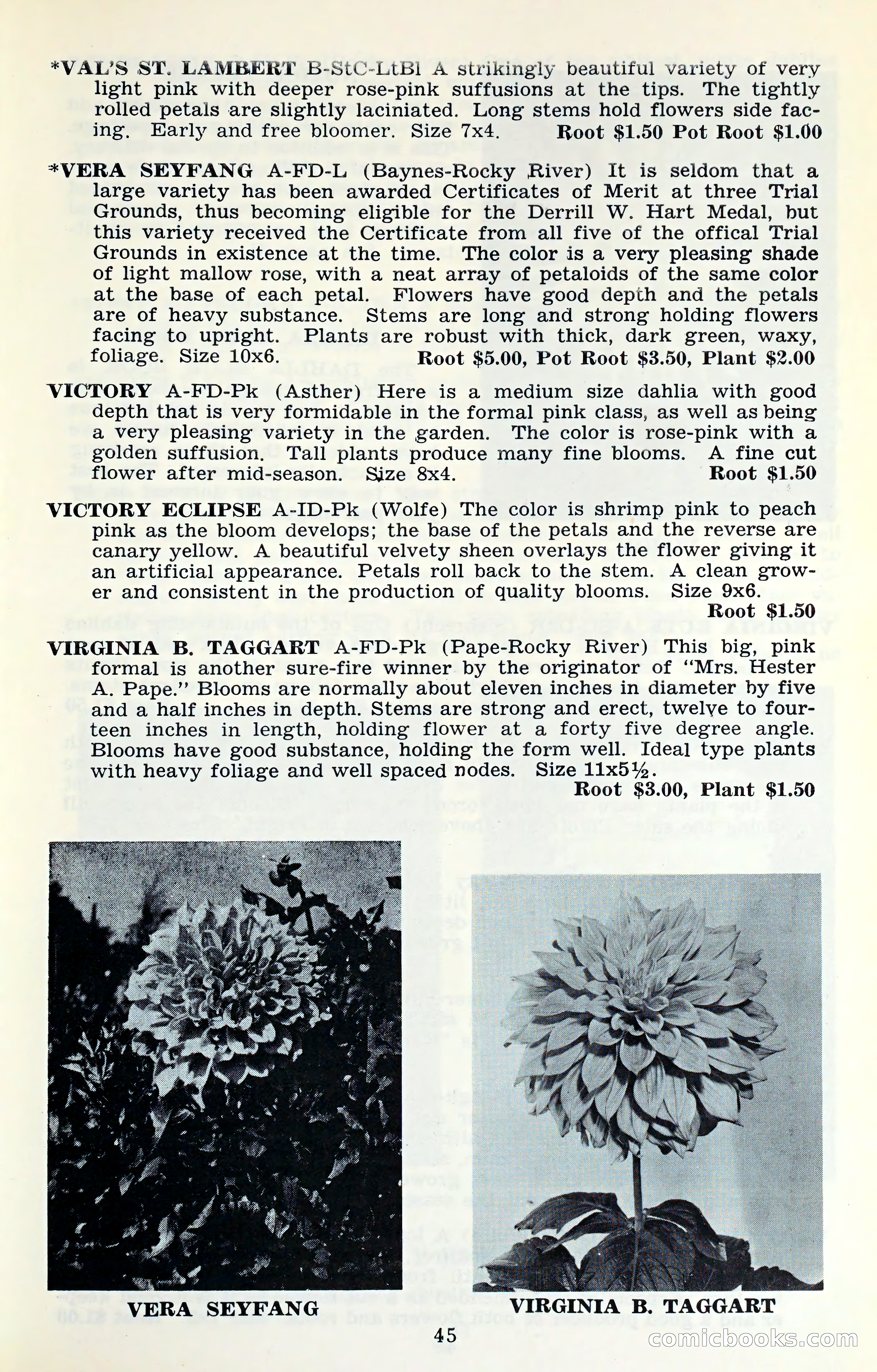 The Dahlia Blue Book for 1961 — page 48 of 71