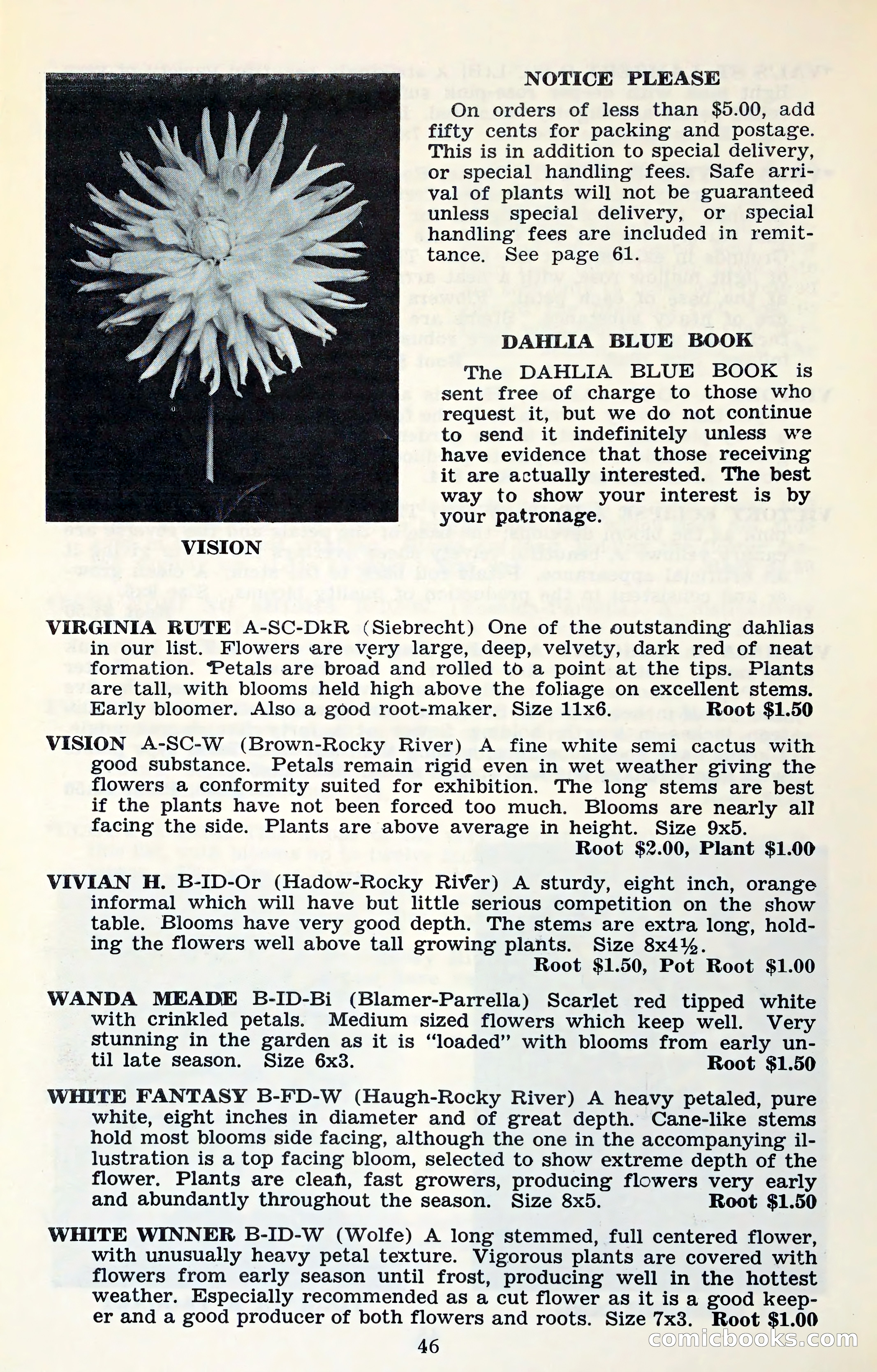 The Dahlia Blue Book for 1961 — page 49 of 71