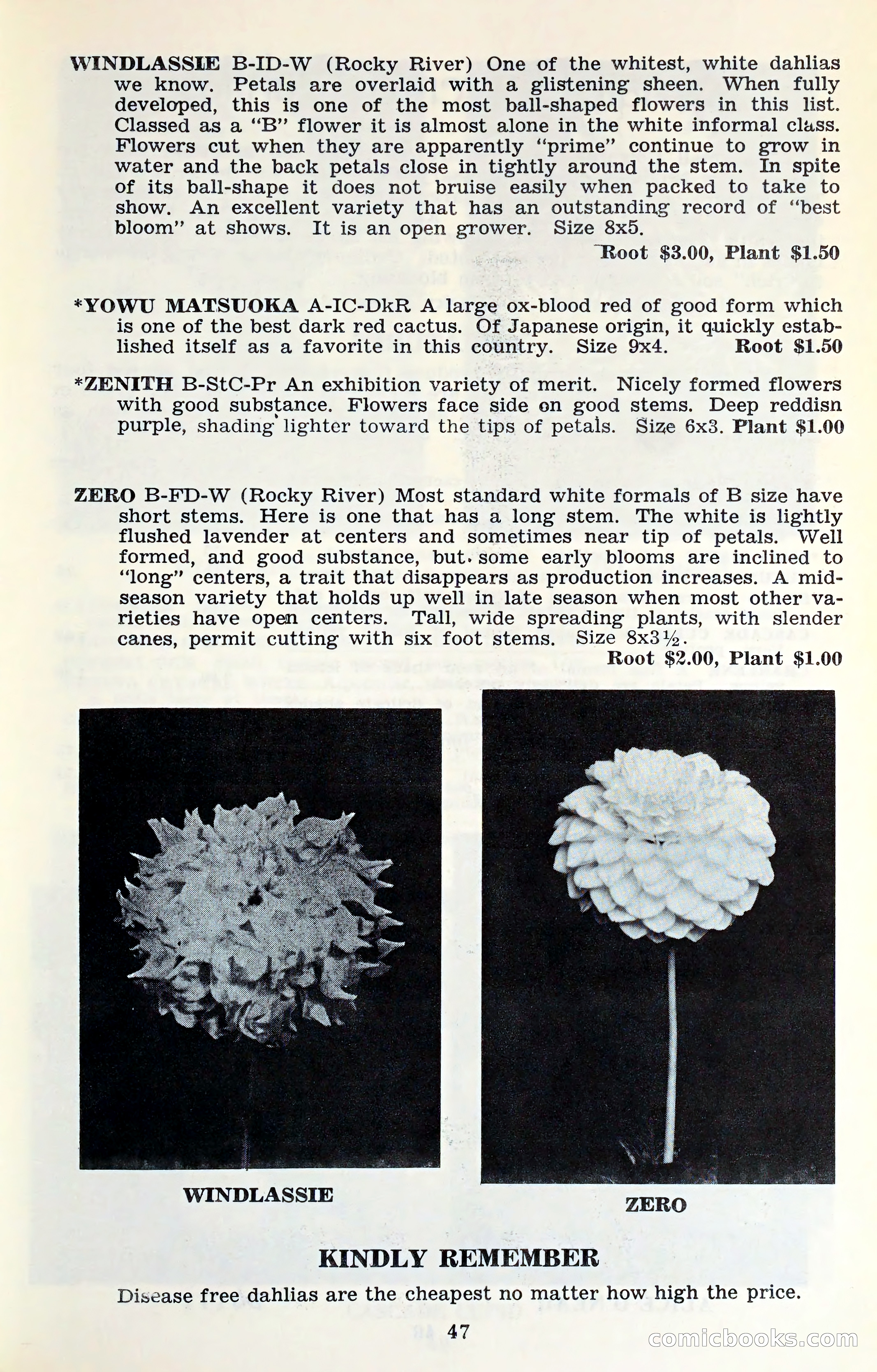 The Dahlia Blue Book for 1961 — page 50 of 71