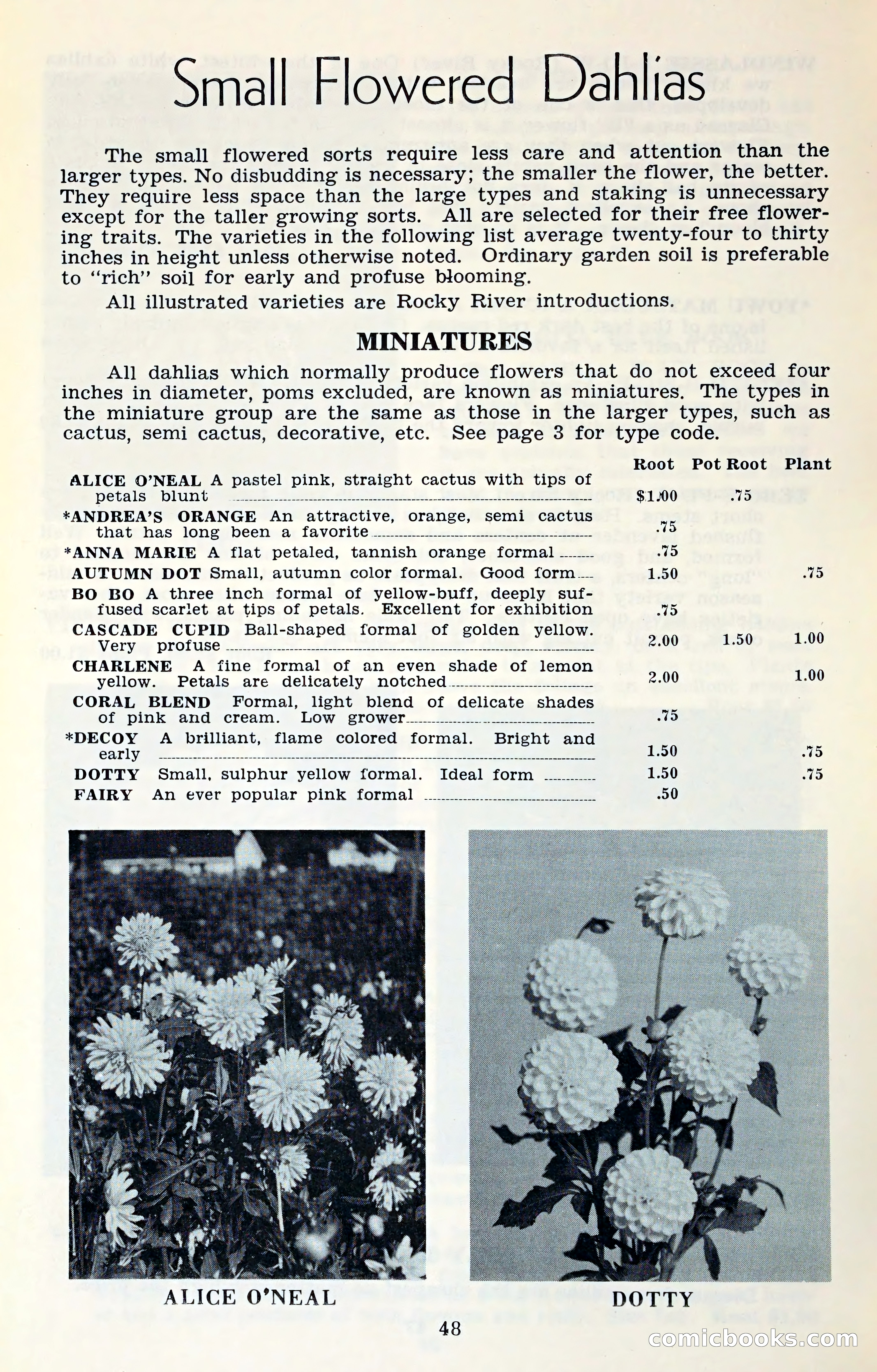 The Dahlia Blue Book for 1961 — page 51 of 71