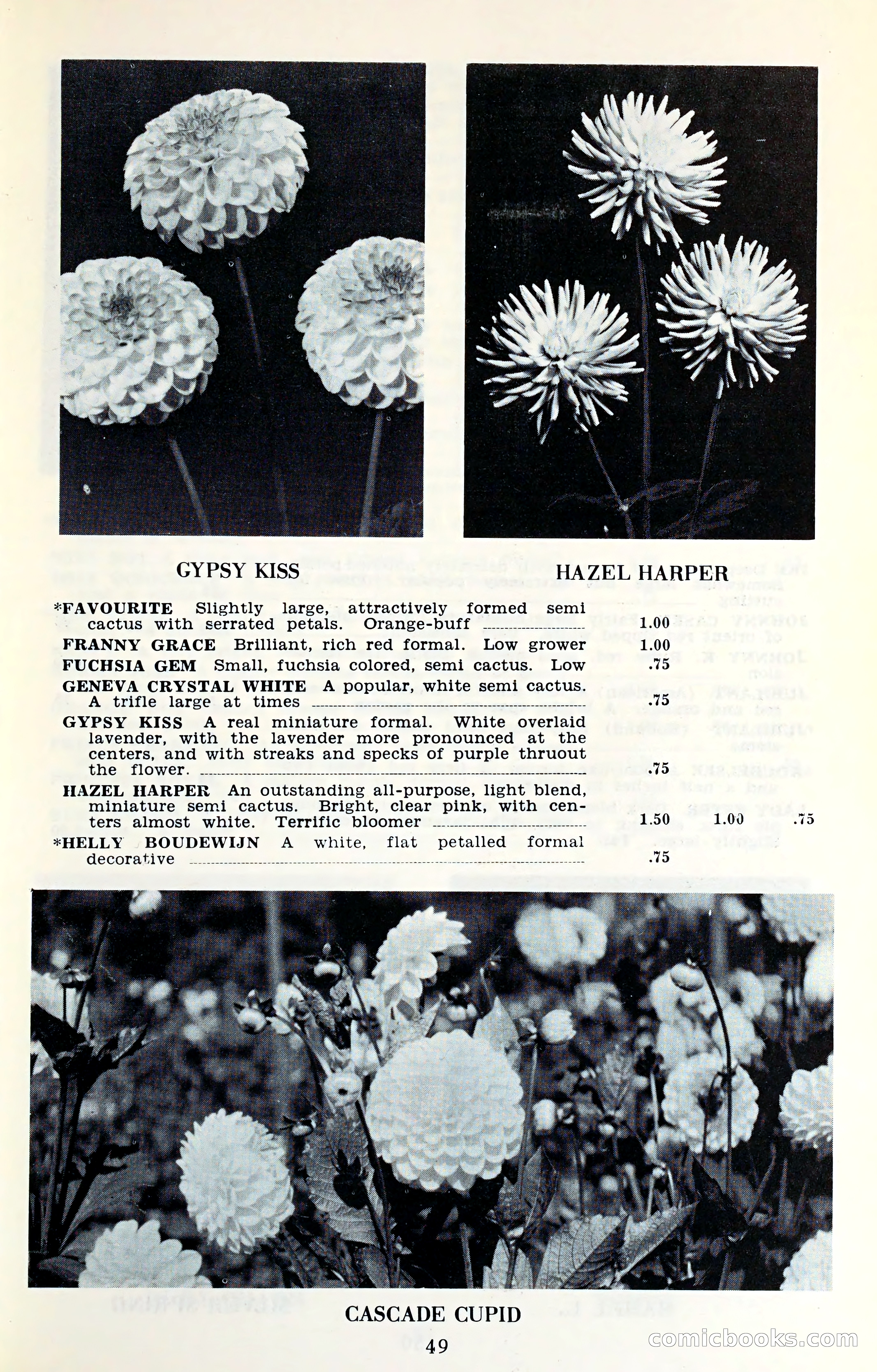 The Dahlia Blue Book for 1961 — page 52 of 71