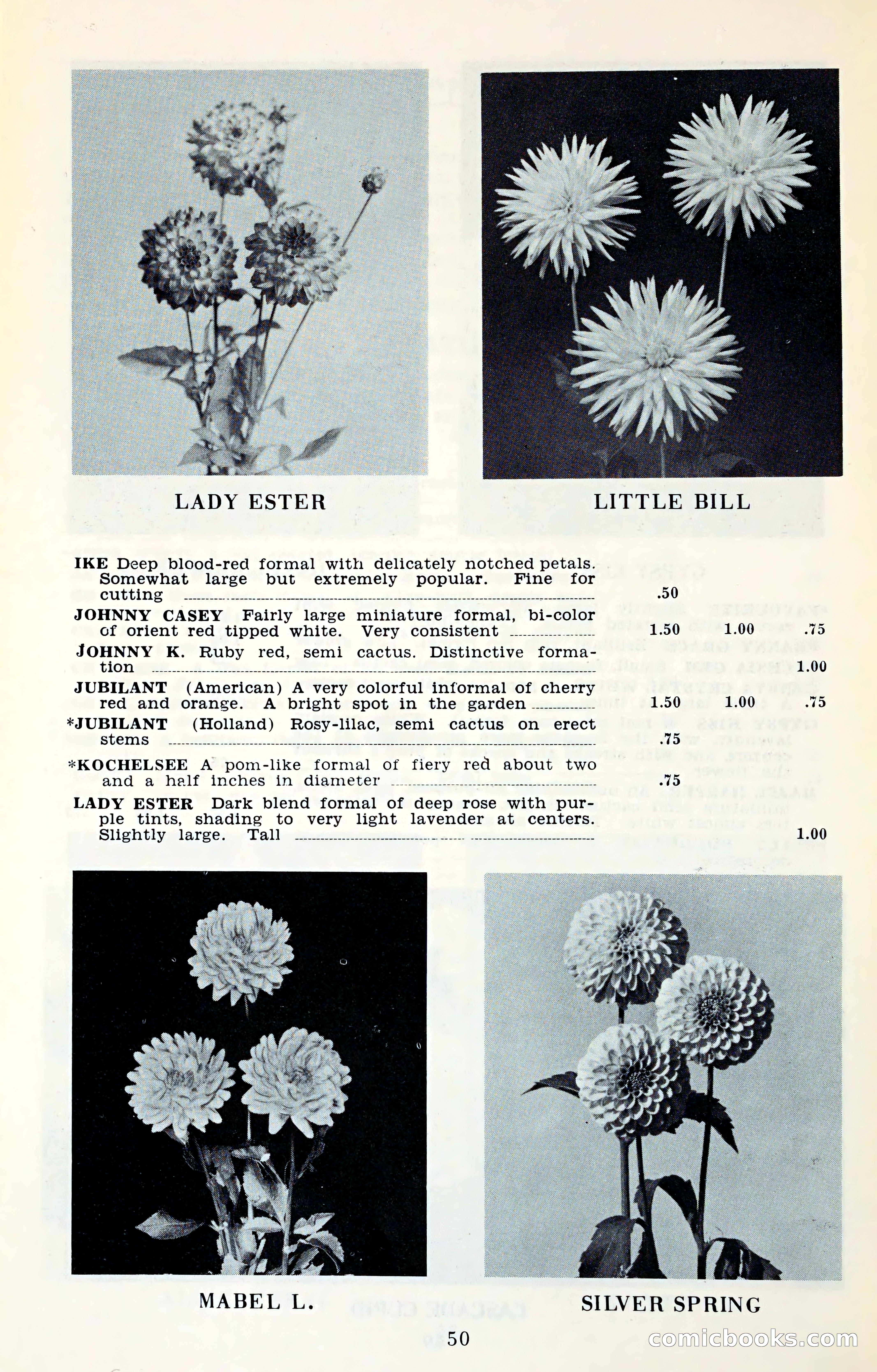 The Dahlia Blue Book for 1961 — page 53 of 71