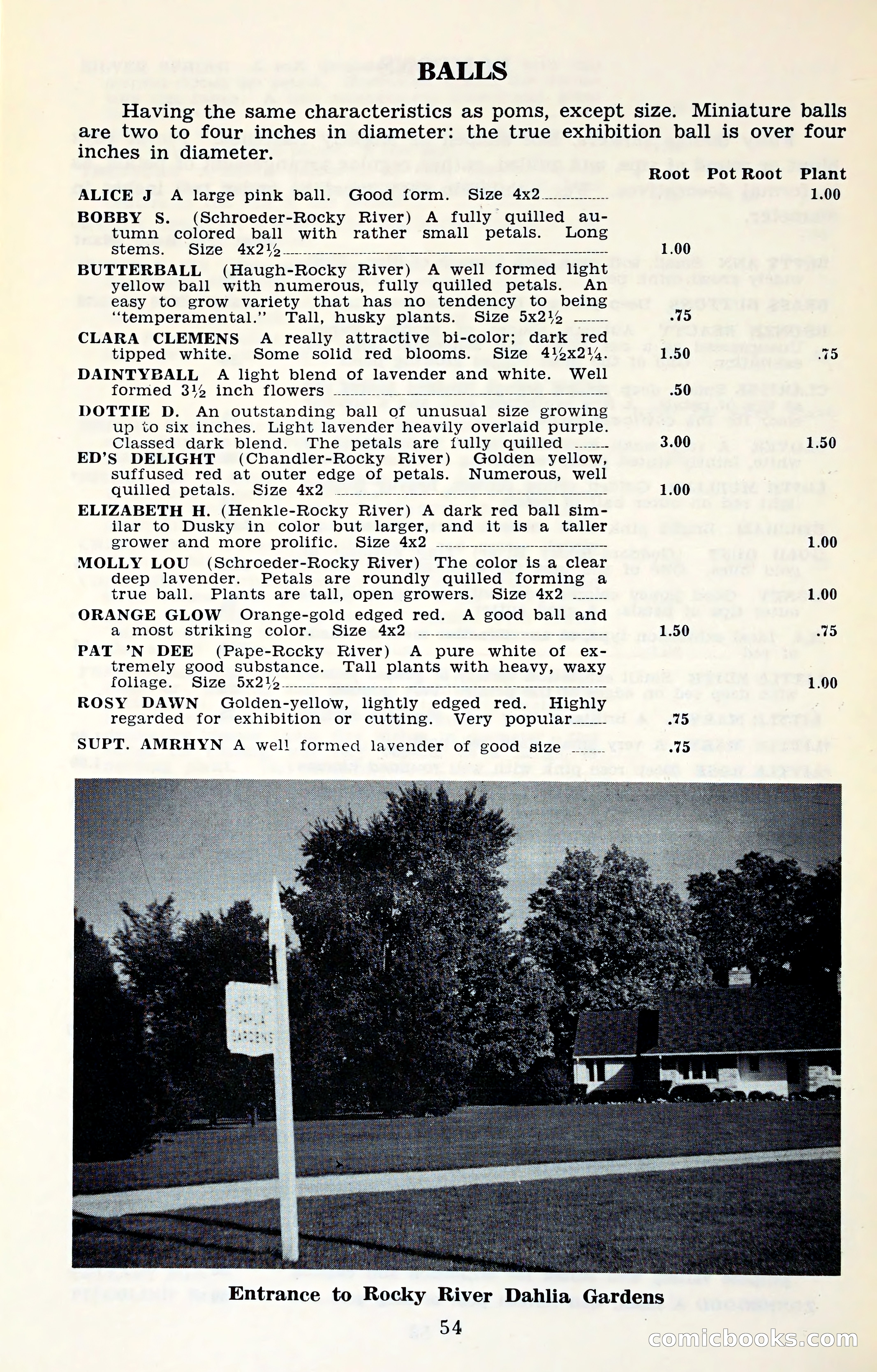 The Dahlia Blue Book for 1961 — page 57 of 71