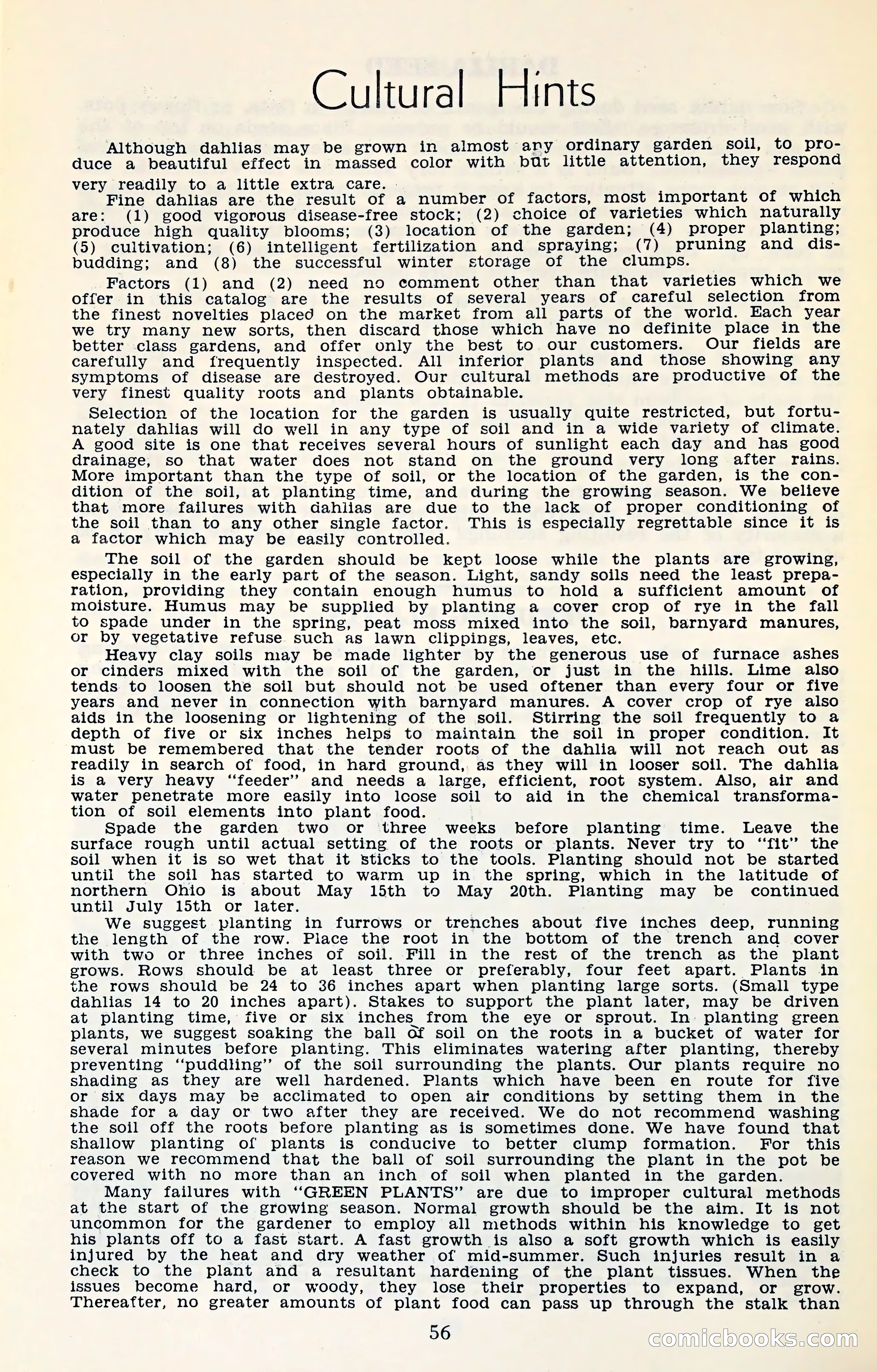The Dahlia Blue Book for 1961 — page 59 of 71