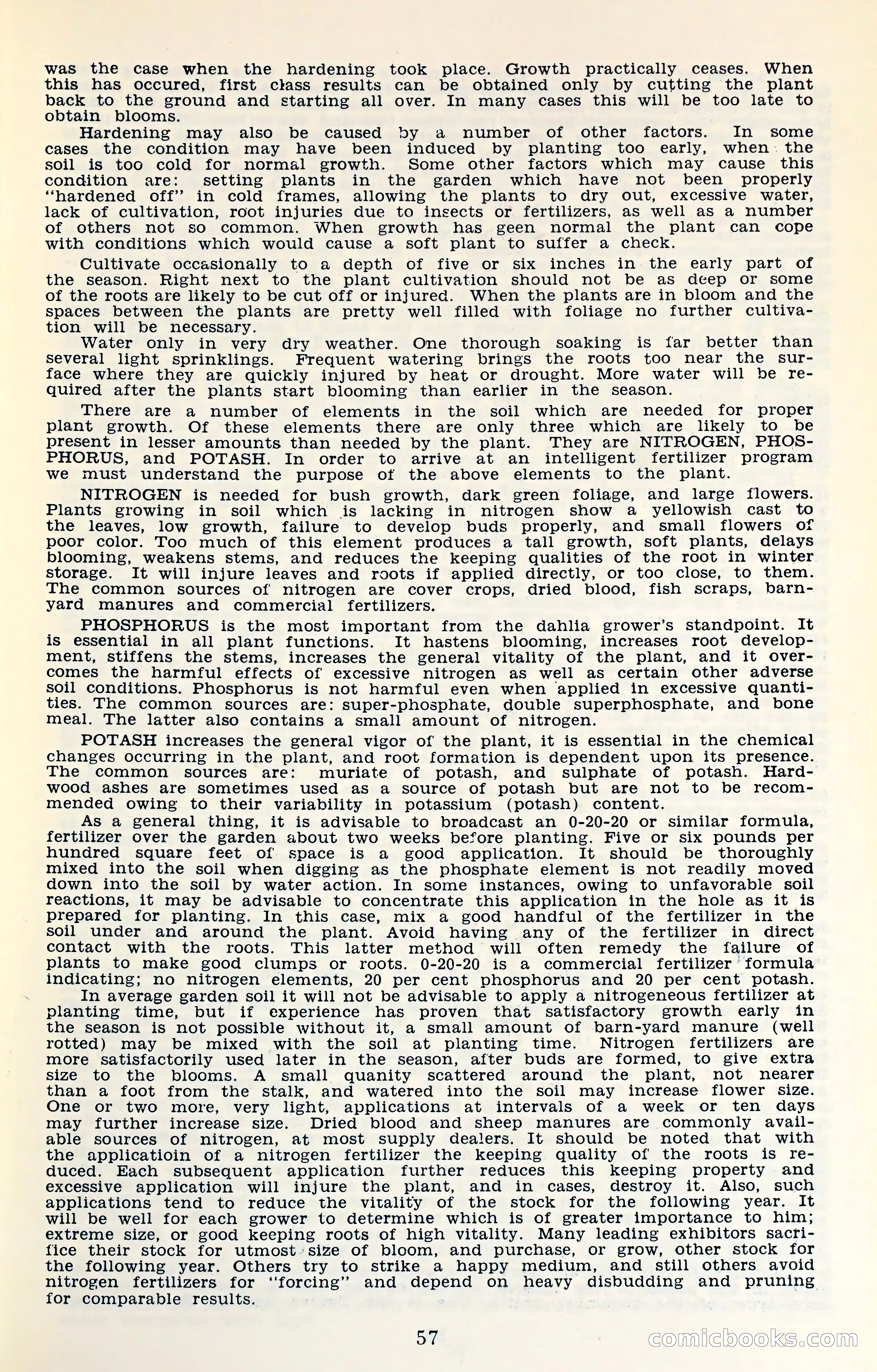 The Dahlia Blue Book for 1961 — page 60 of 71